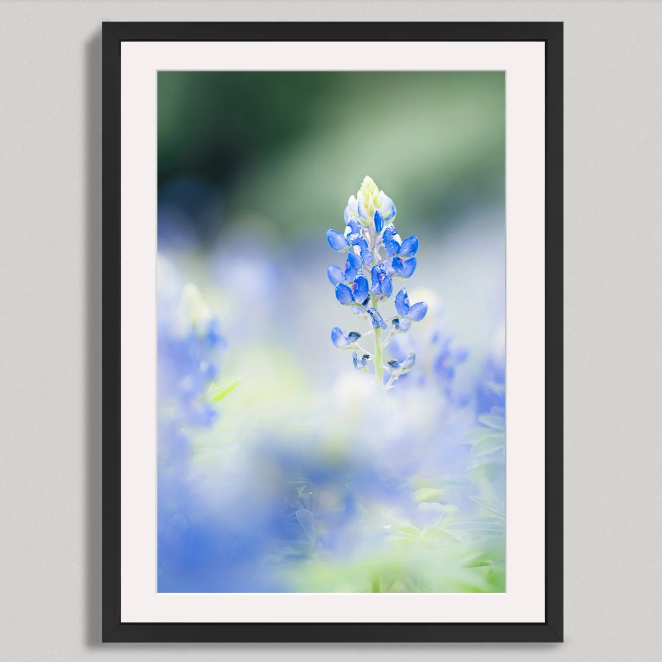 bluebonnet frame.jpg
