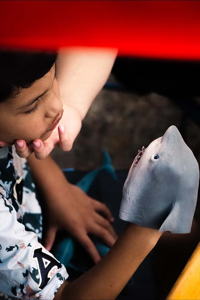 Shark Boy-2.jpg