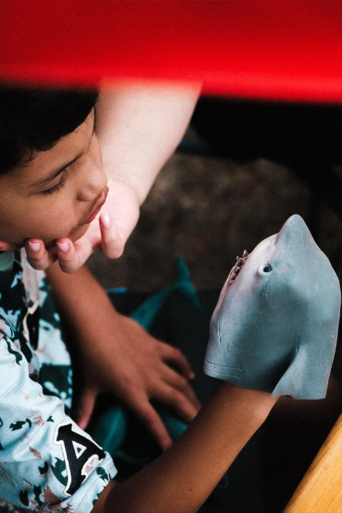 Shark Boy low res.jpg