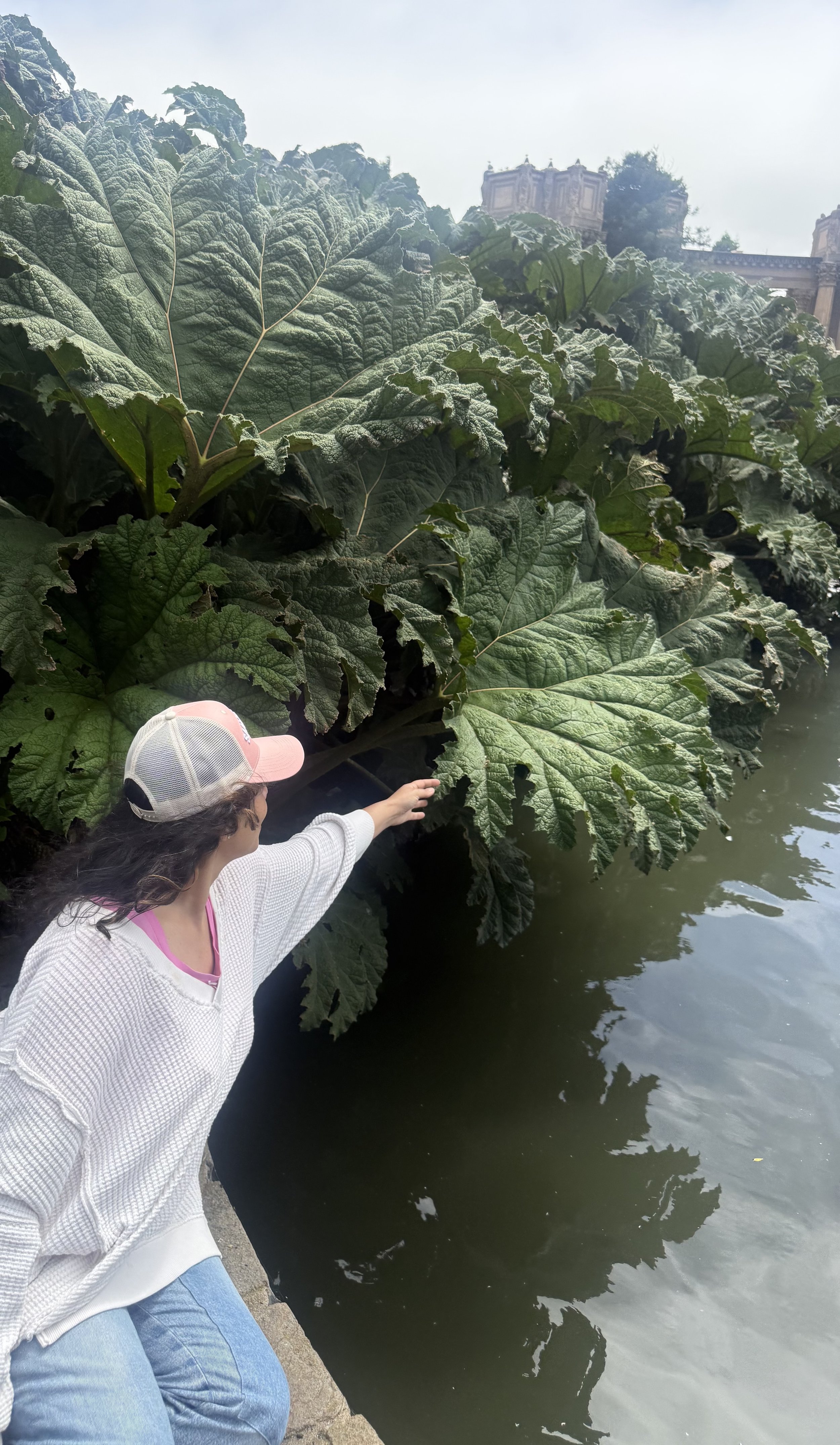 A person with long curly hair wearing a pink cap, a white long-sleeved shirt, and blue jeans reaching out towards large green leaves of a plant by a body of water, with historic architecture in the background.
