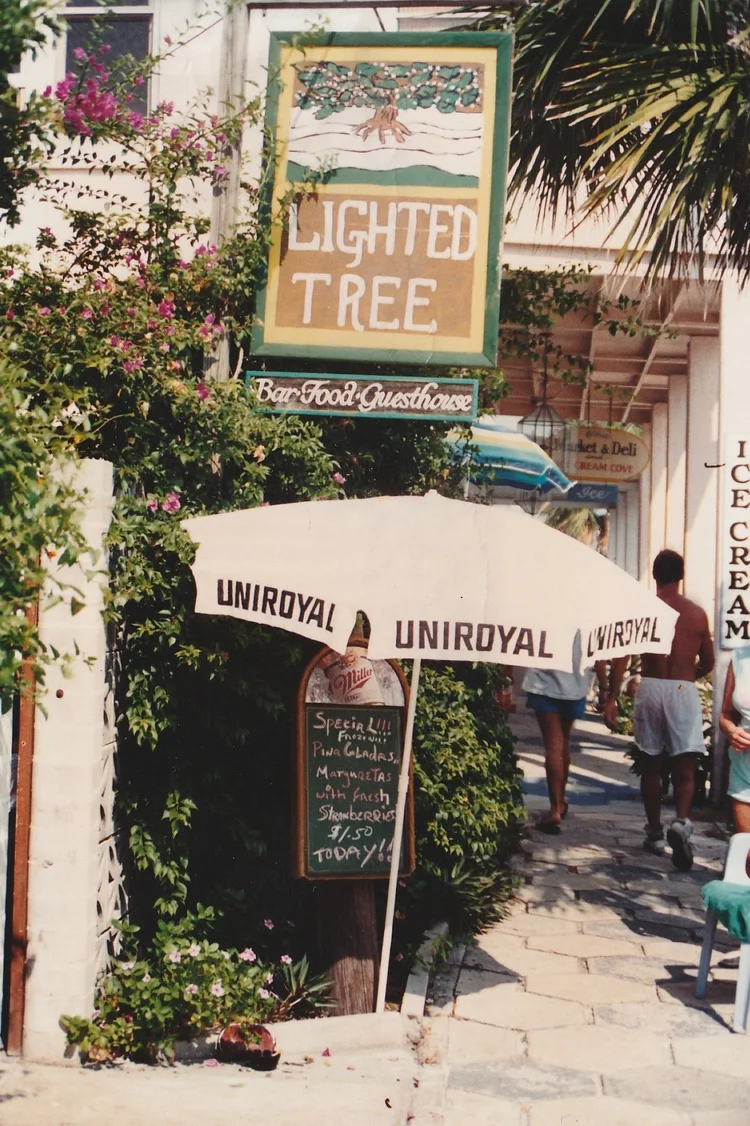 The Lighted Tree