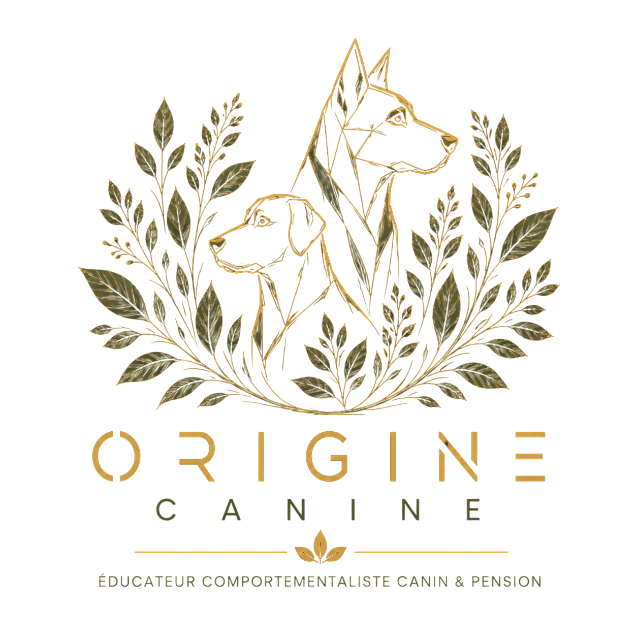 Origine Canine