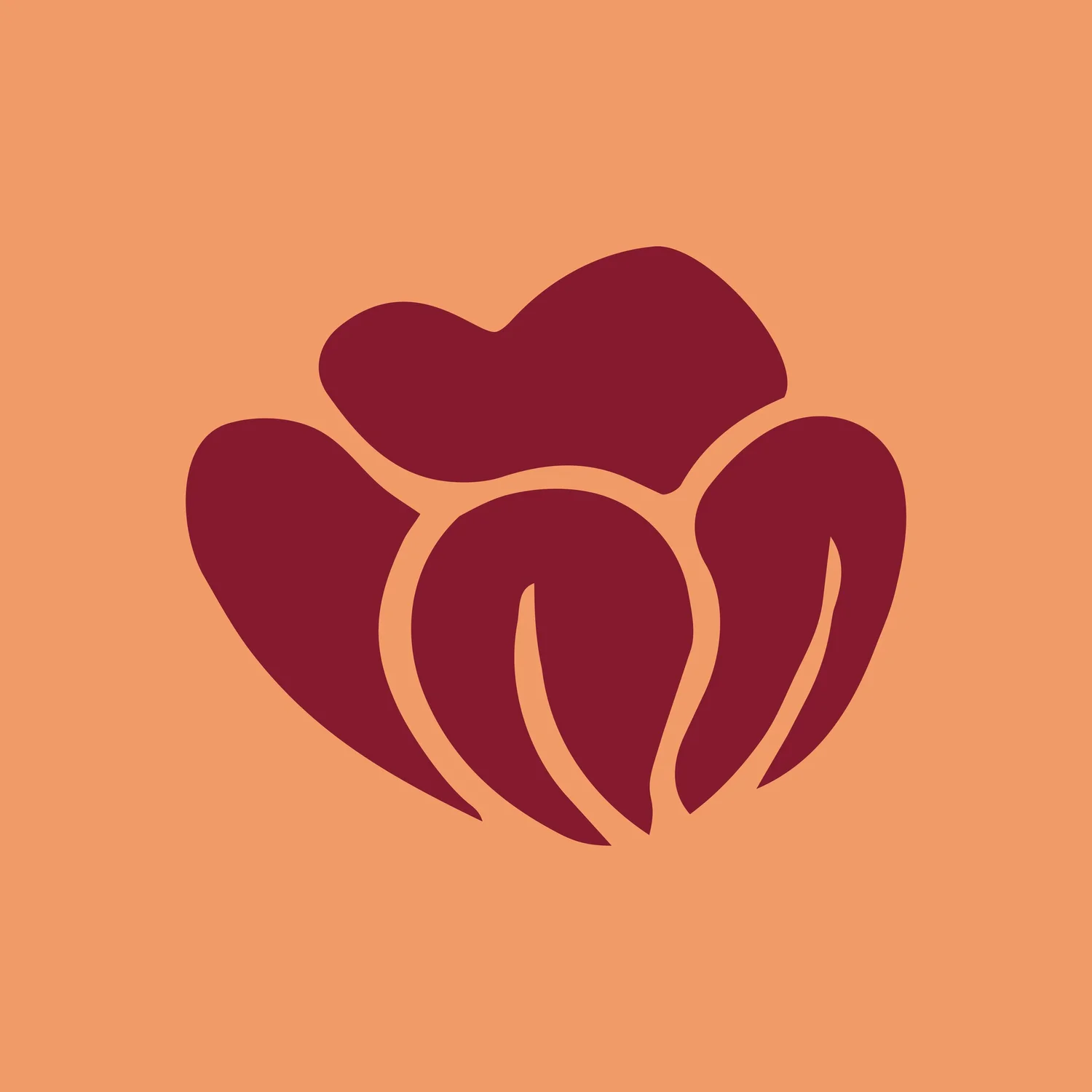 The Petal Patch