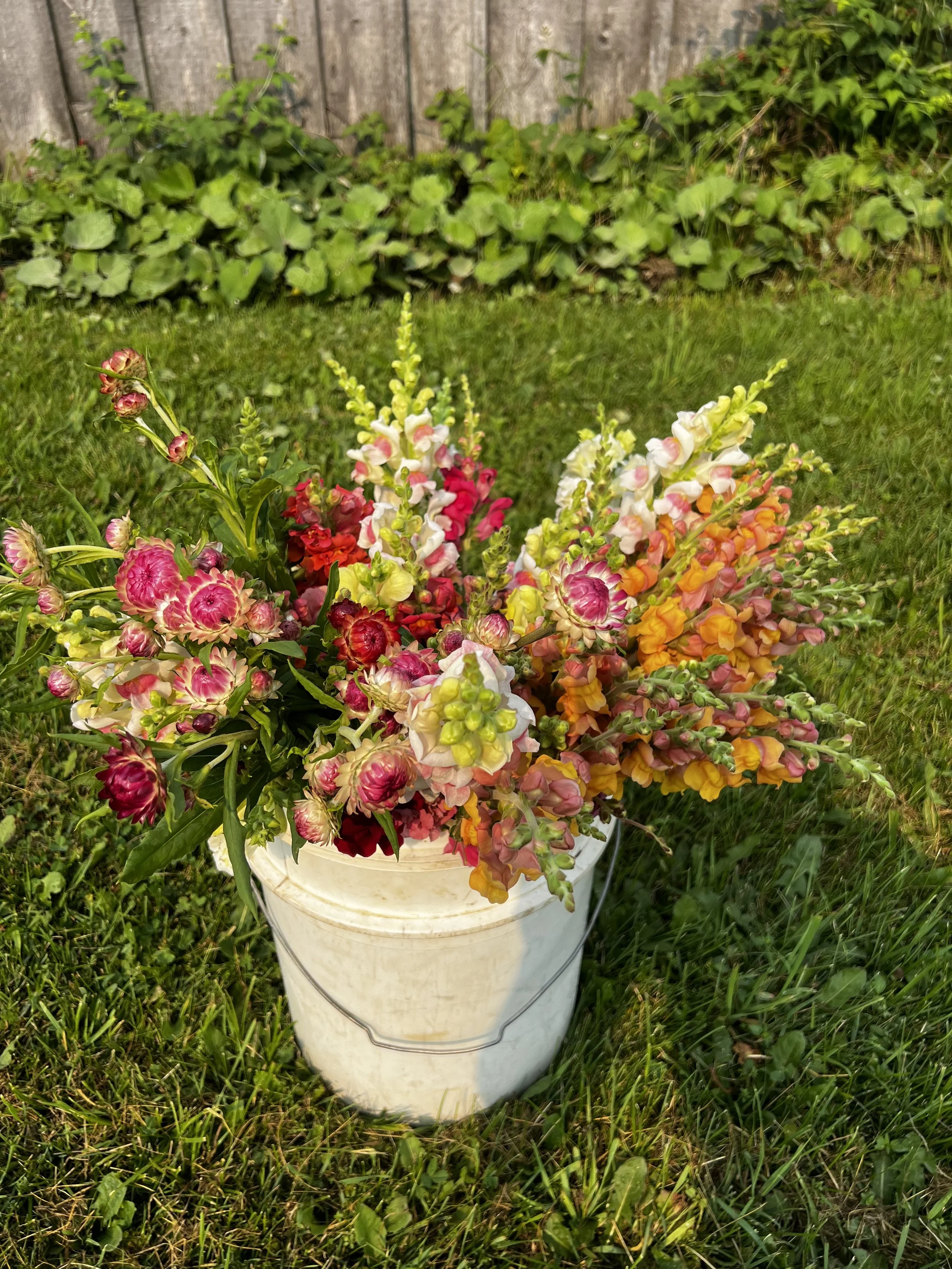 Bloom Bucket