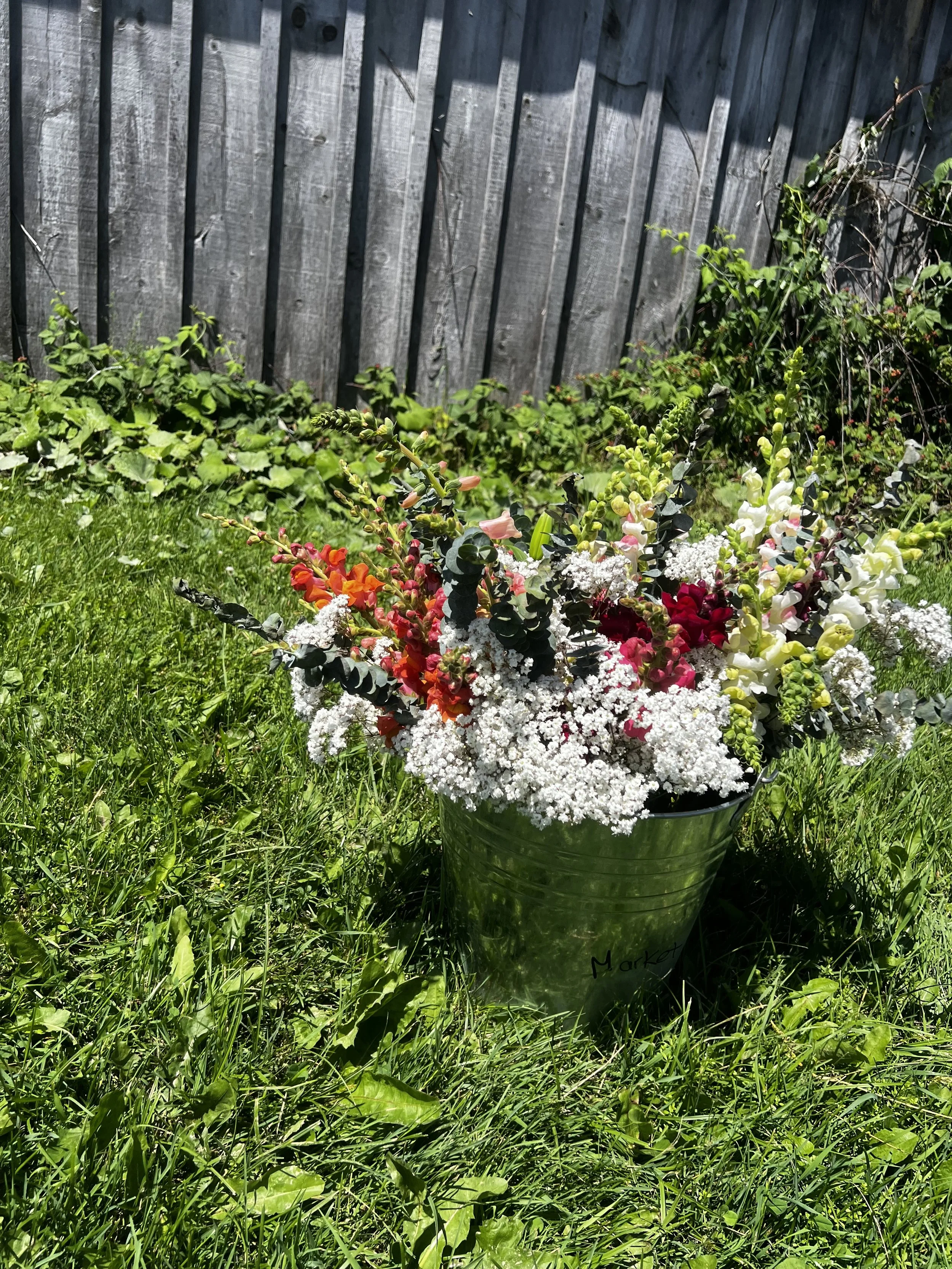 IMG_1561.jpeg