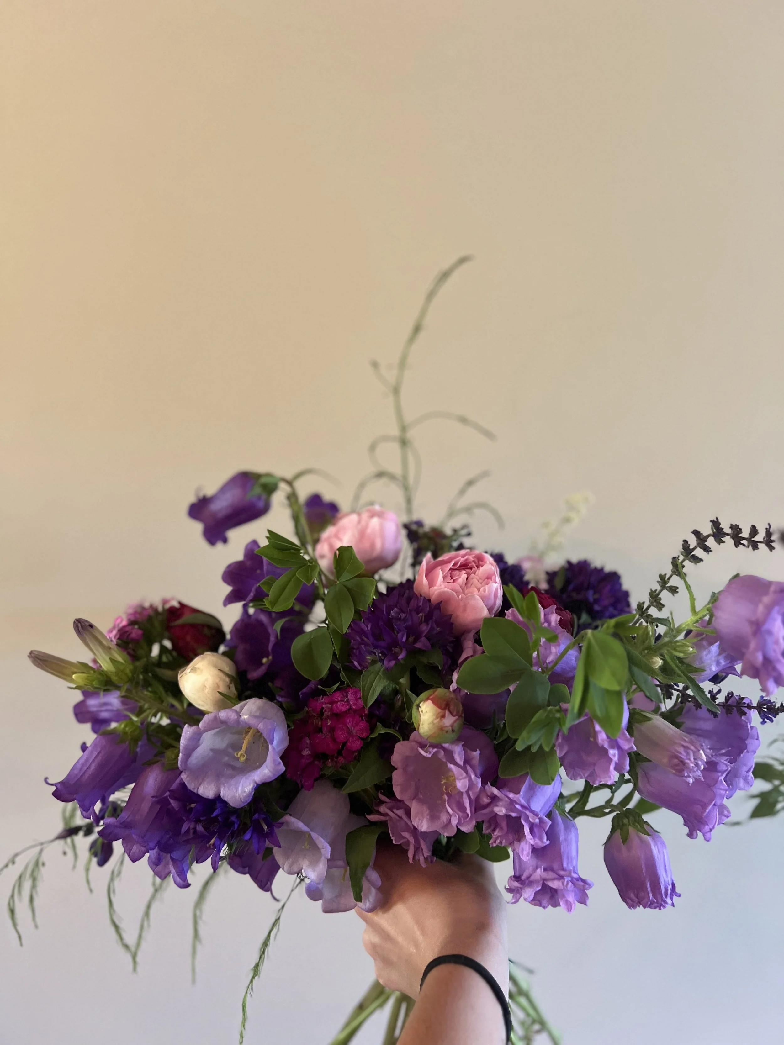 IMG_1365.jpeg