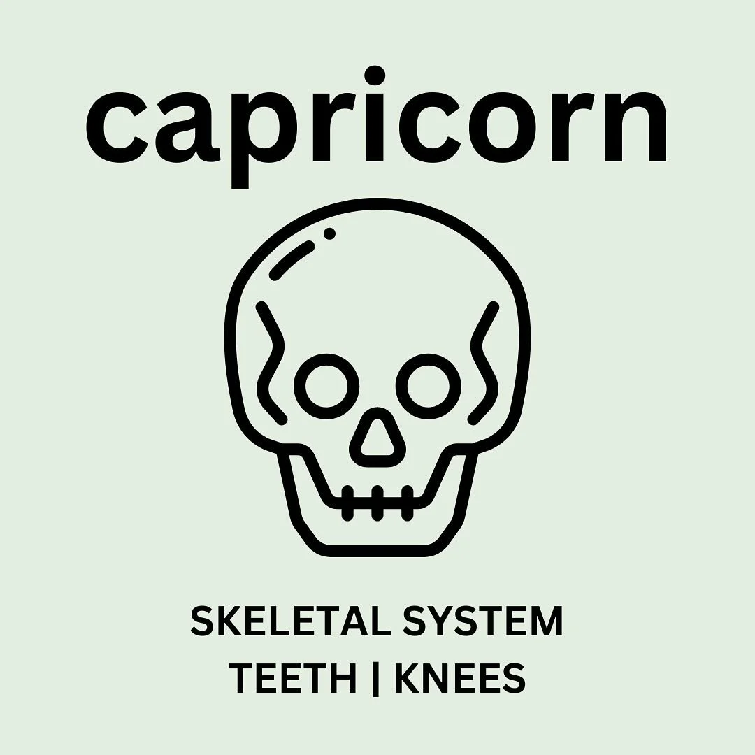 This past Saturday marked the first day of winter and the first day of Capricorn season! ♑️🐐💀 

Capricorn season (on the heels of and contrary to celebratory Sagittarius season) is when we set the goals and organize our plan for the coming year. Ca