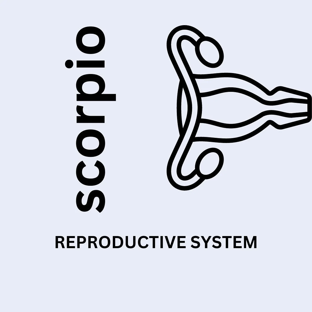 Happy birthday, Scorpio! 🦂🖤

Scorpio is a water sign with great emotional depth, empathy, intuition and complexity. Protecting your energy during this season is crucial. 

Because Scorpio rules the reproductive system, here&rsquo;s a few ways to ta