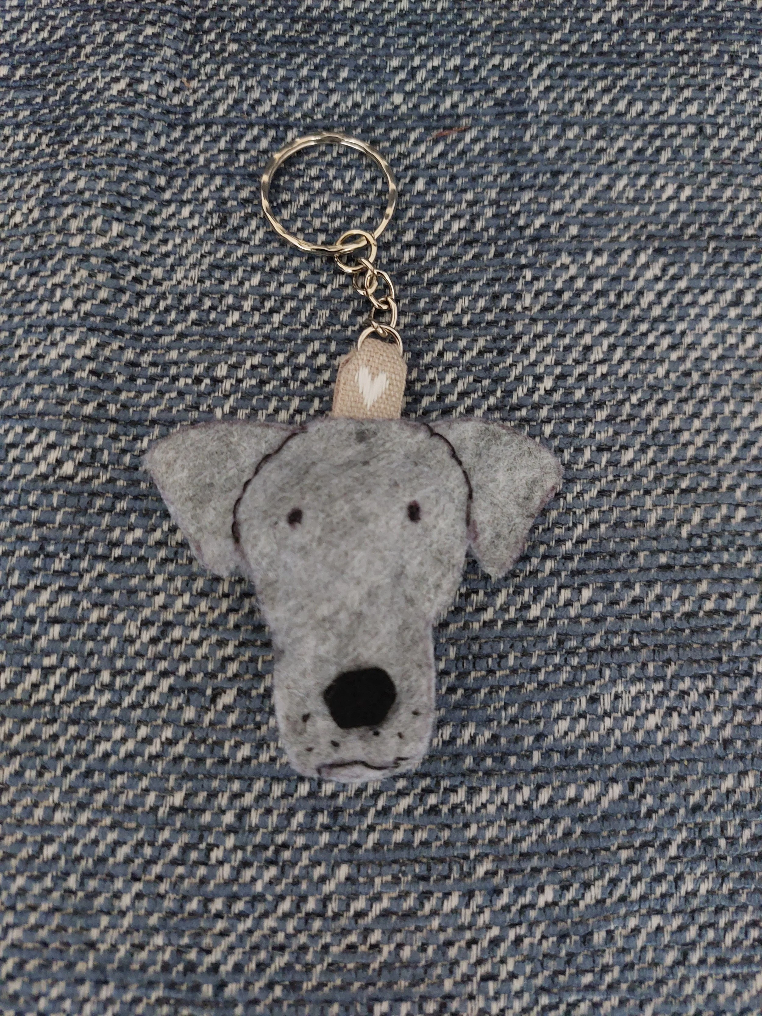front-of -grey- greyhound-dog image.jpg