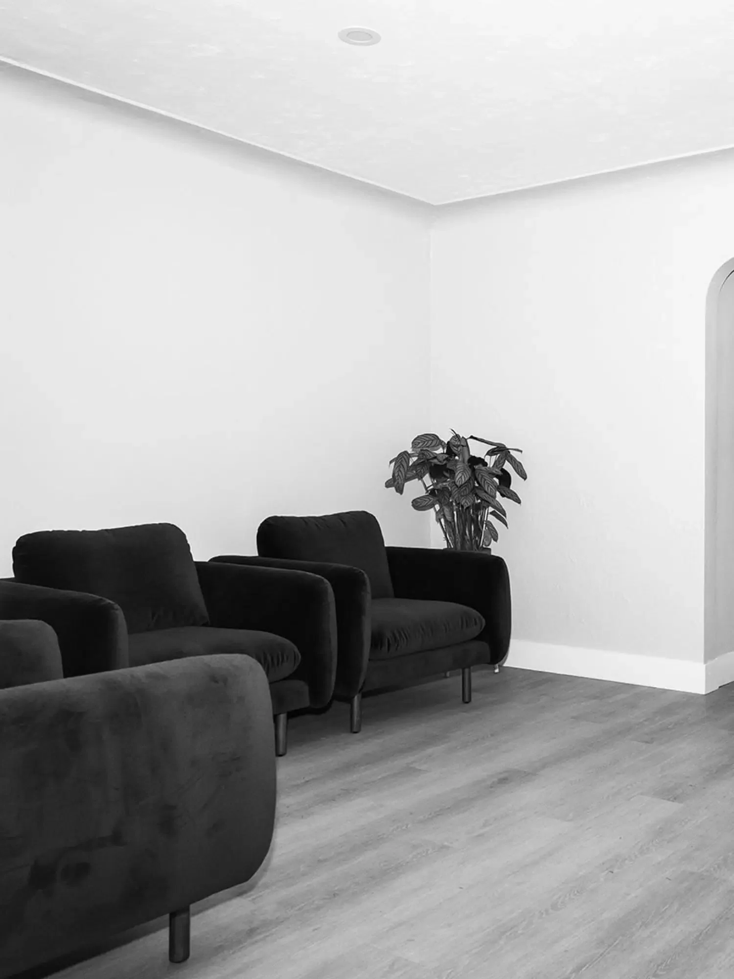 A living room with three dark armchairs and a potted plant in the corner, with light-colored wooden flooring and white walls.