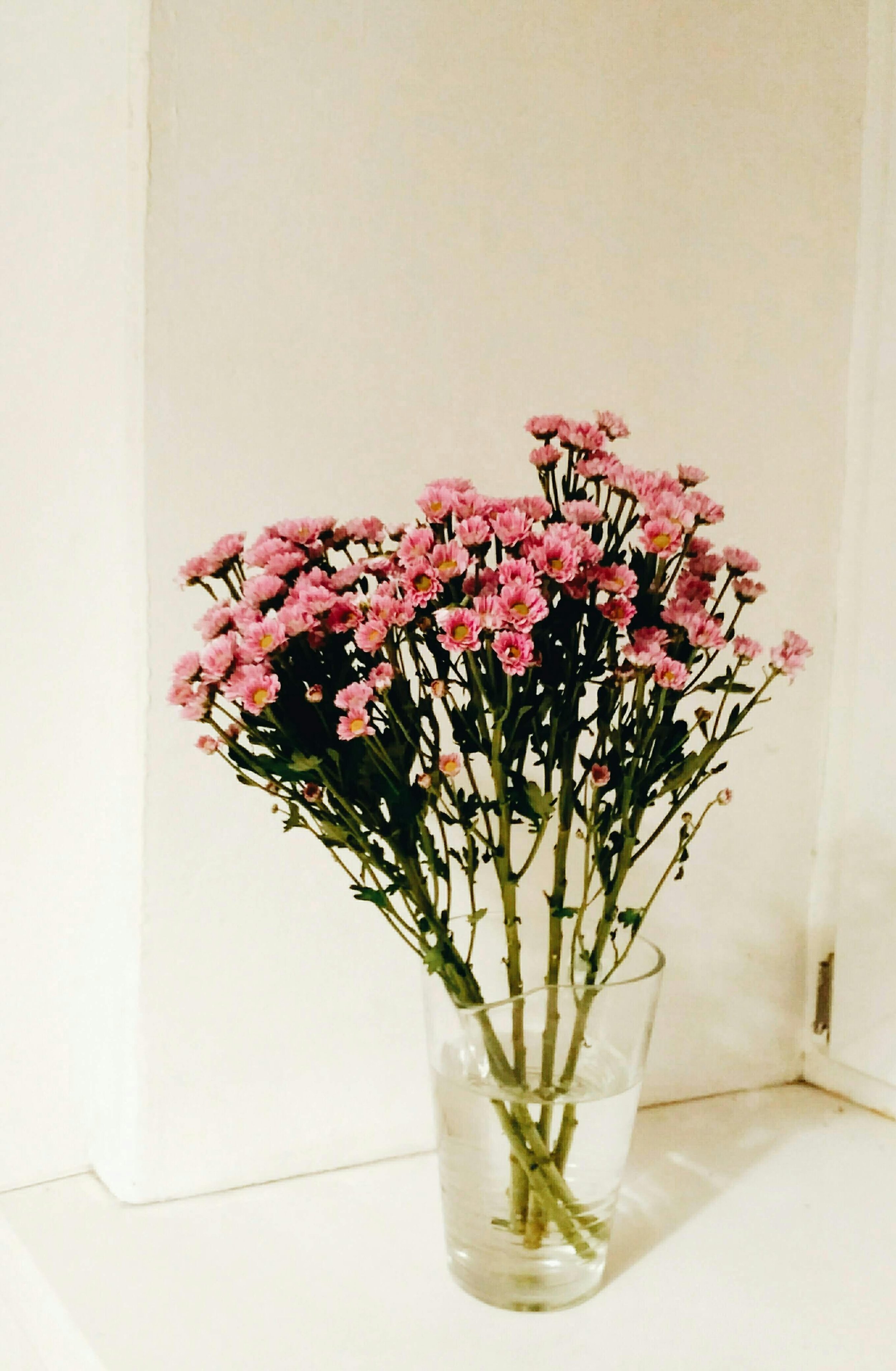 Pink bouquet of small flowers in a transparent glass vase filled with water, placed on a white surface with a white background.