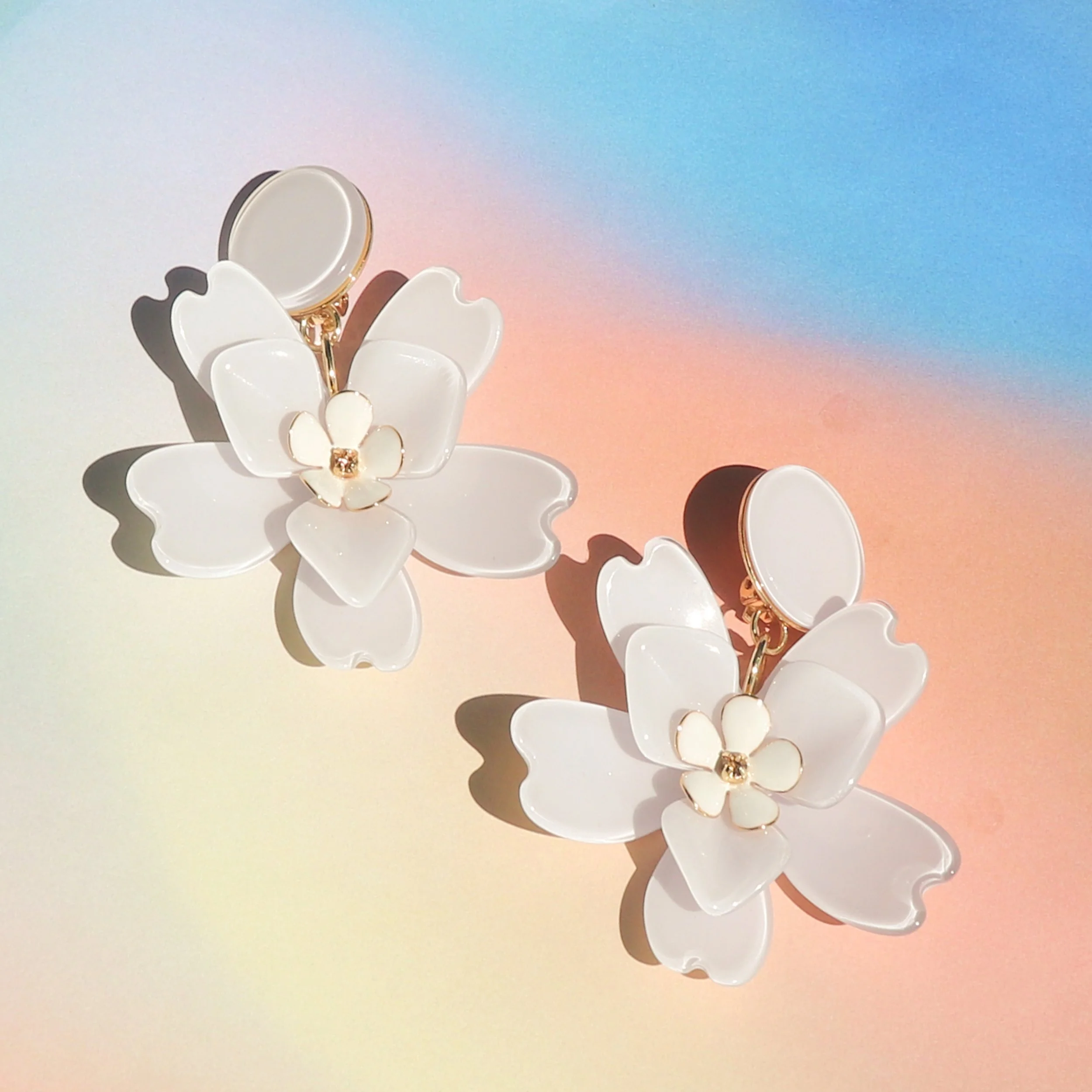 Flora Rainbow.jpg