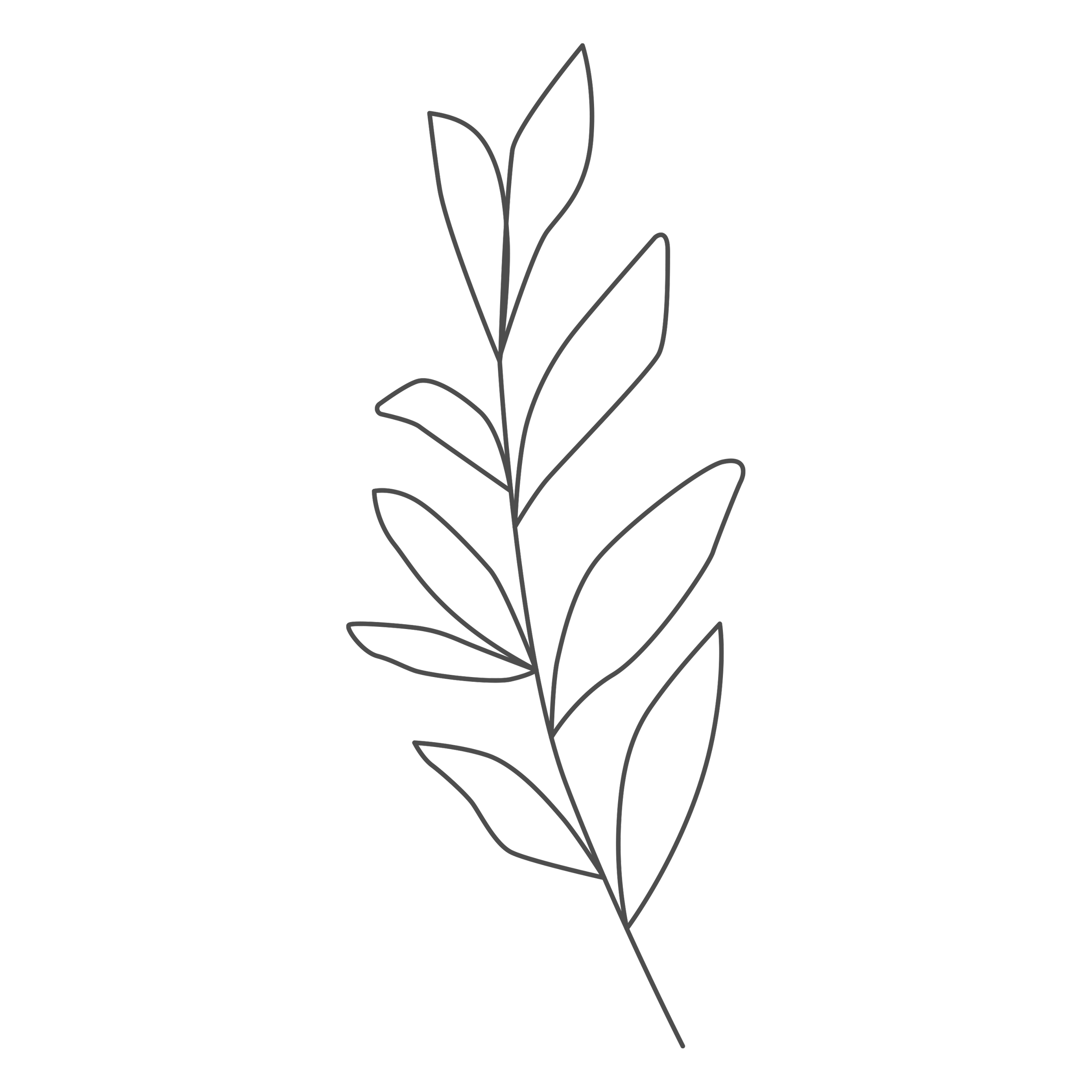 Simple line drawing of a plant with three leaves on a stem against a black background.