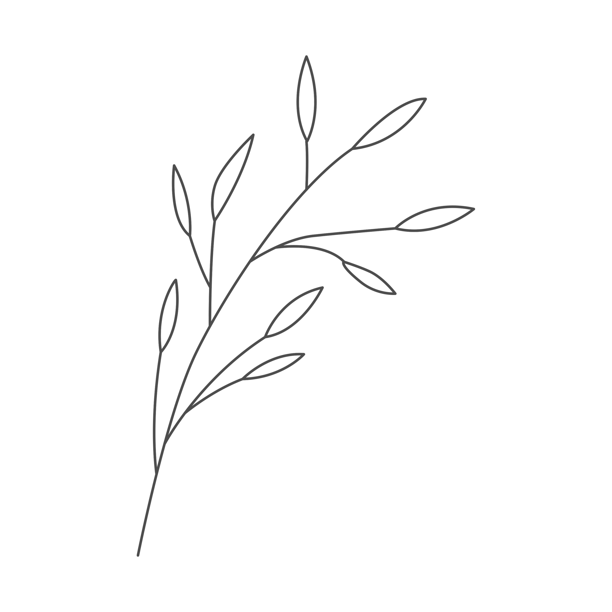 Minimalist outline drawing of a branch with six leaves on a black background.