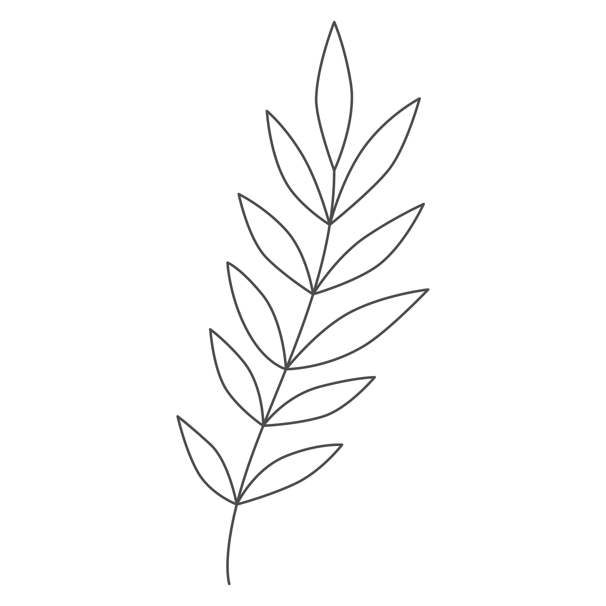 A minimalist line drawing of a plant with elongated leaves on a black background.