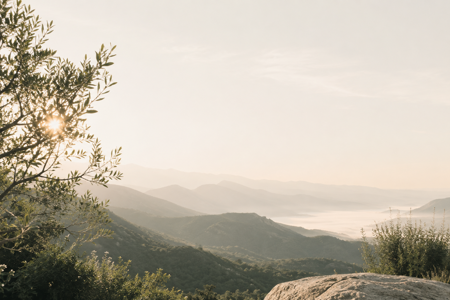 Sunrise or sunset over green mountain landscape with fog in valleys, some bushes, and rocks in foreground.