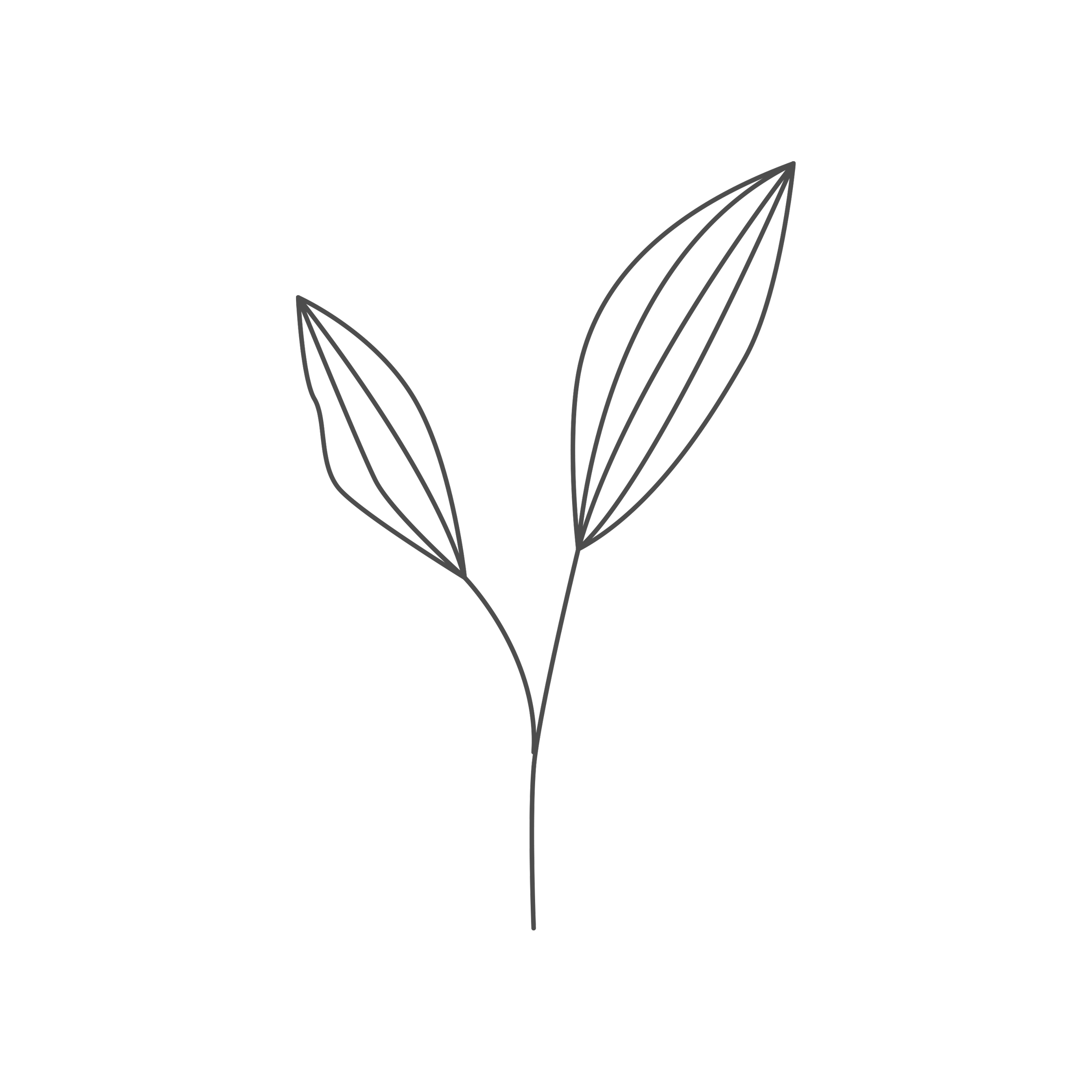 Outline of a butterfly with symmetry in black and gray lines on a black background.