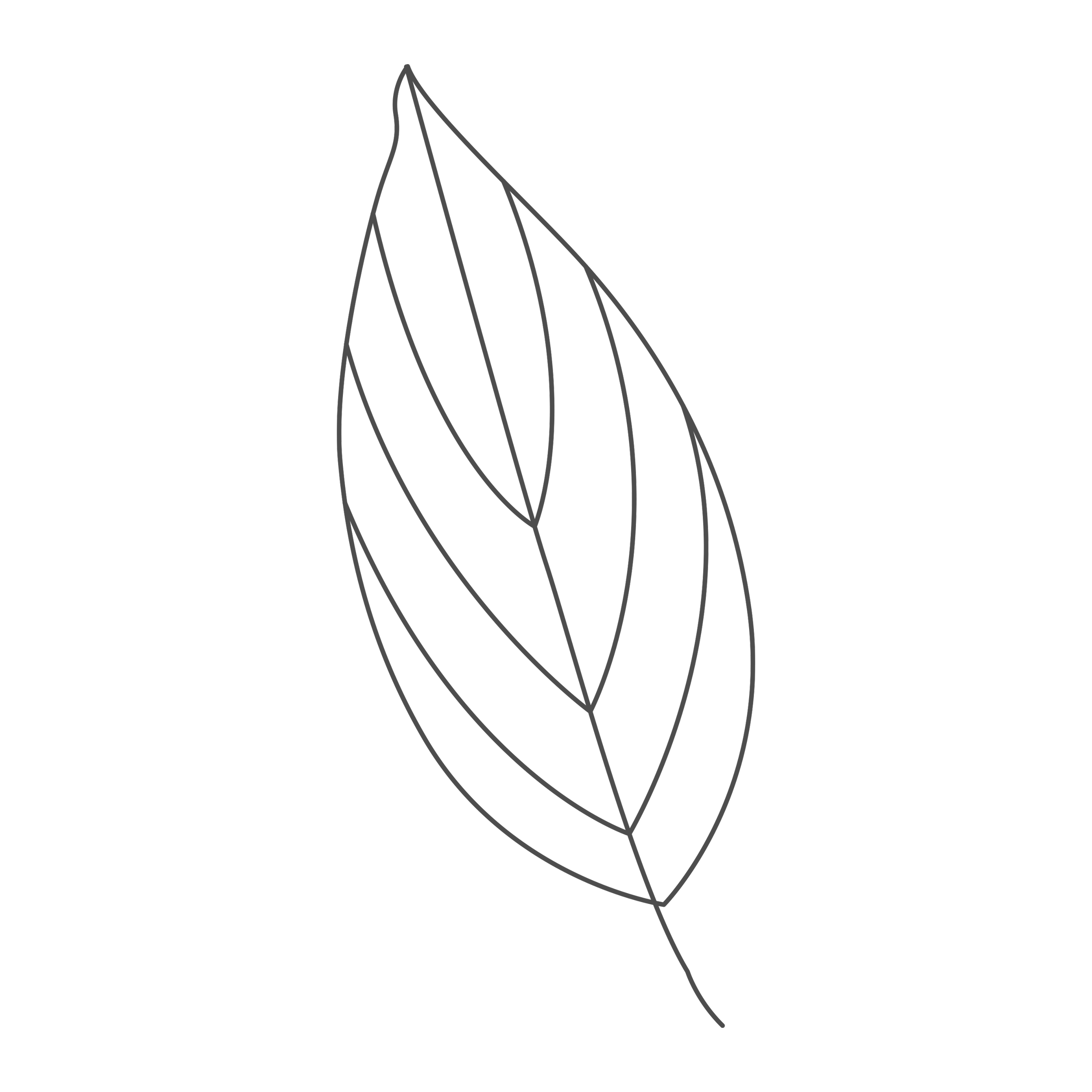 A black background with a geometric leaf-like line drawing in gray
