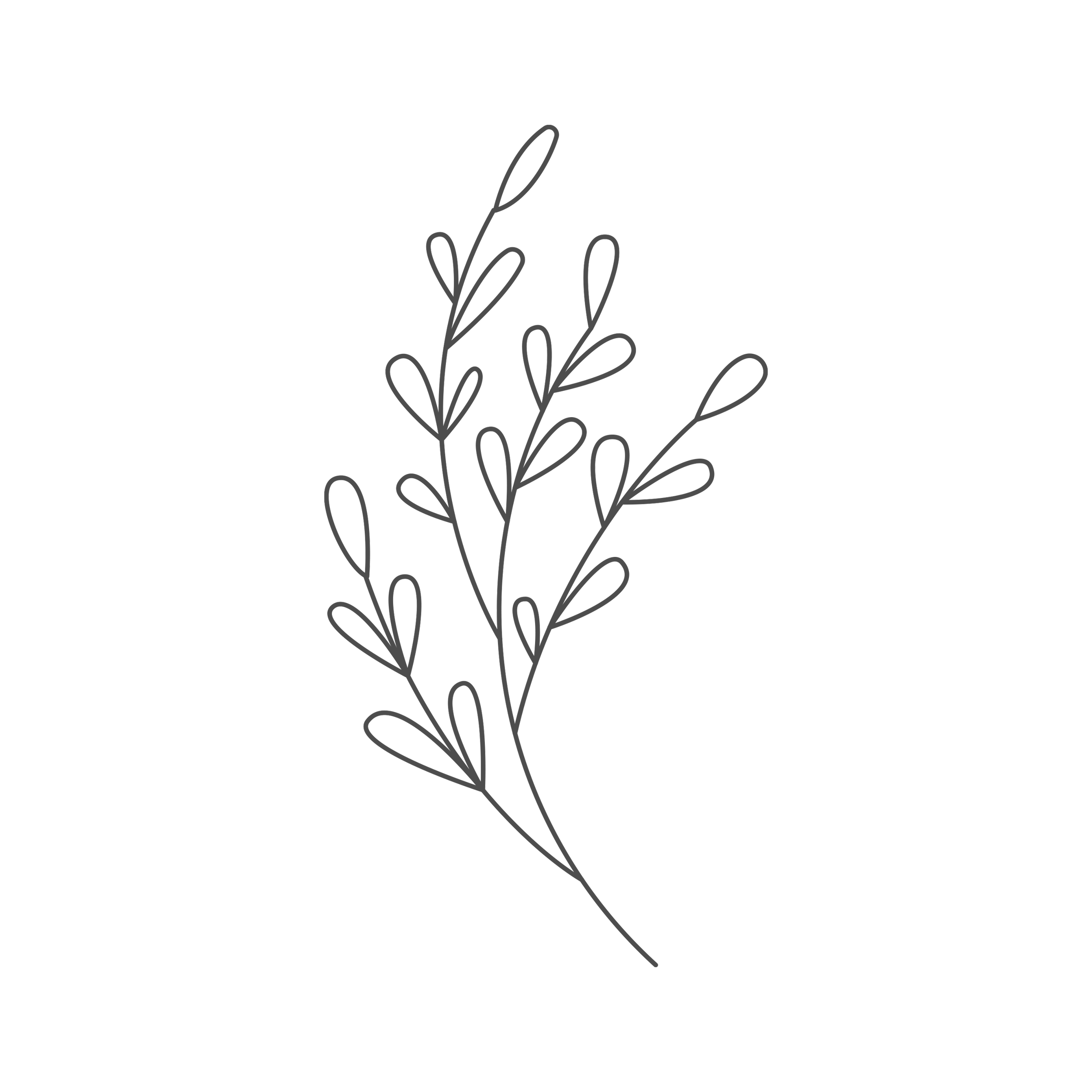 Minimalist line drawing of a plant or branch with leaves on a black background.