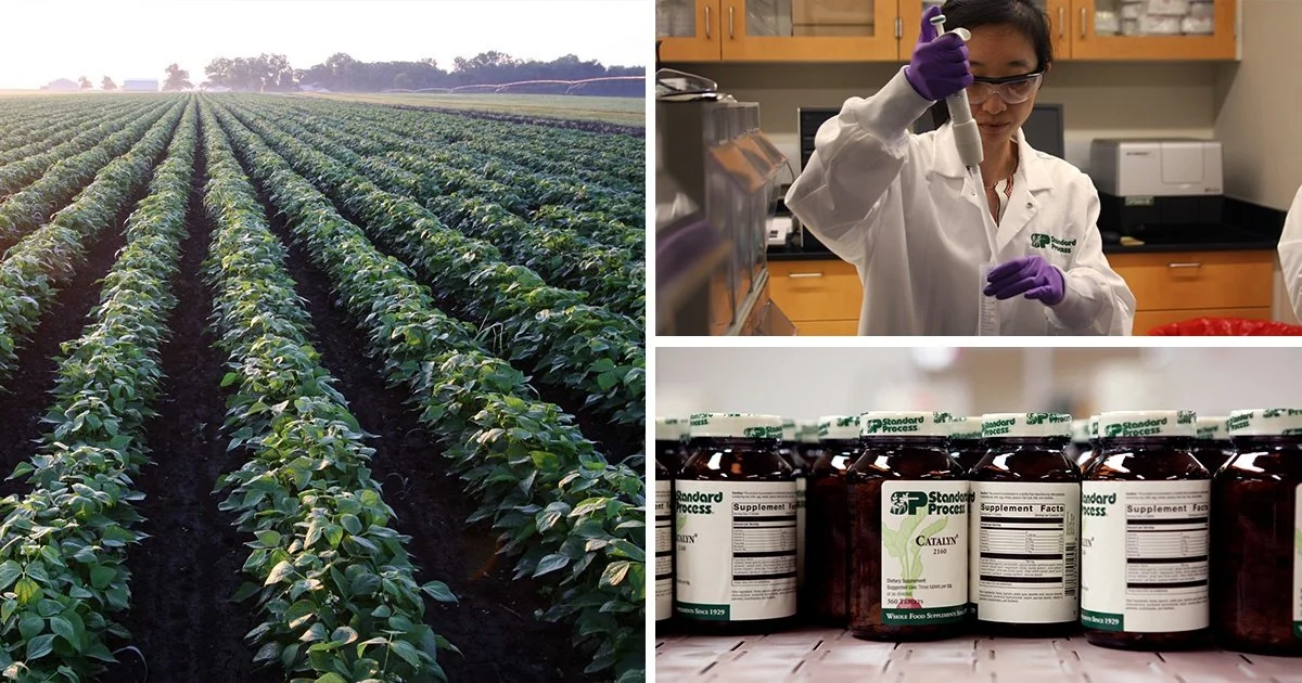 A split image showing on the left a field of green crops, in the middle a scientist working in a laboratory, and on the right bottles of standard process dietary supplements.