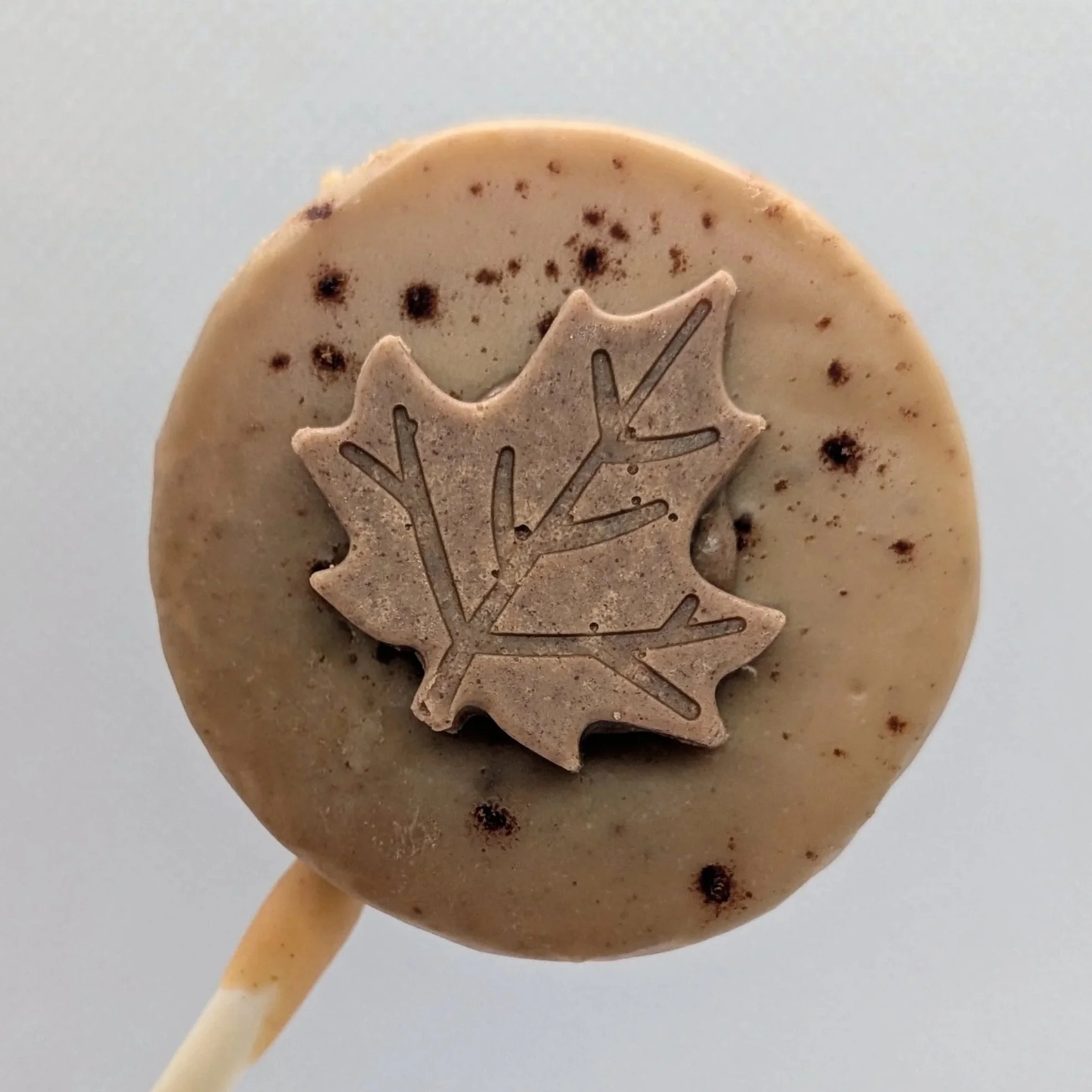A single disc shaped cake pop with a warm brown coating, a dusting of cinnamon and a chocolate maple leaf.