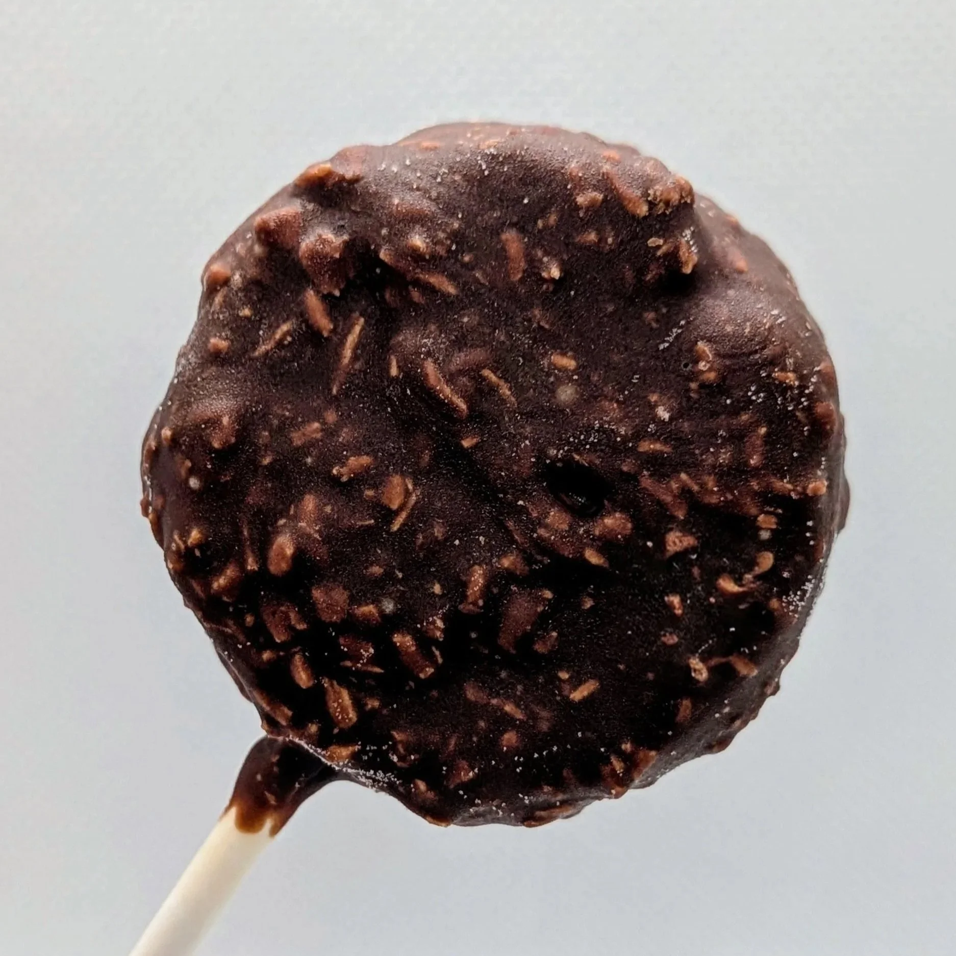 Chocolate Toasted Coconut Cake Pop