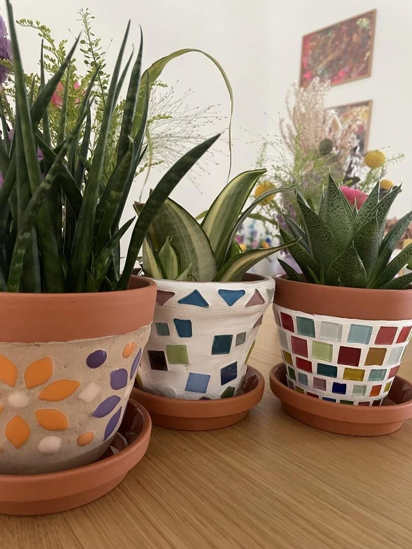 Drei Blumentöpfe mit grünen Pflanzen auf einem Holztablett, mosaiziert mit bunten geometrischen Mustern