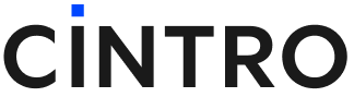 Cintro | Fraud Decisioning for Card and Lending Programs