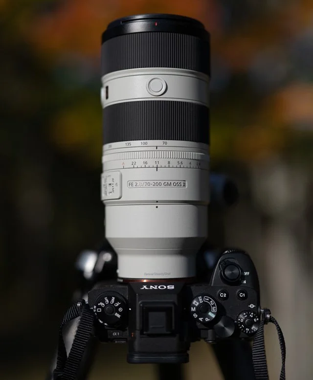 A Sony camera with a large telephoto lens mounted on it, set outdoors with a blurred background of trees.