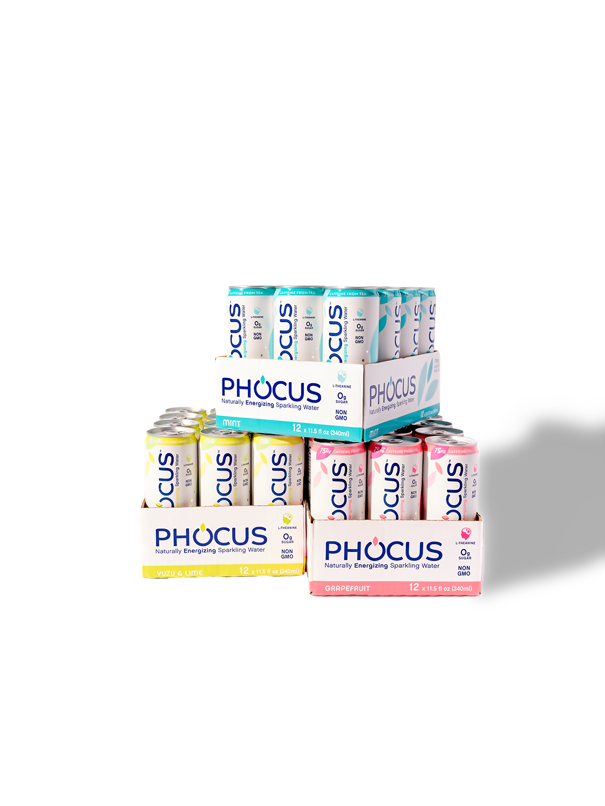 Phocus-1598.png