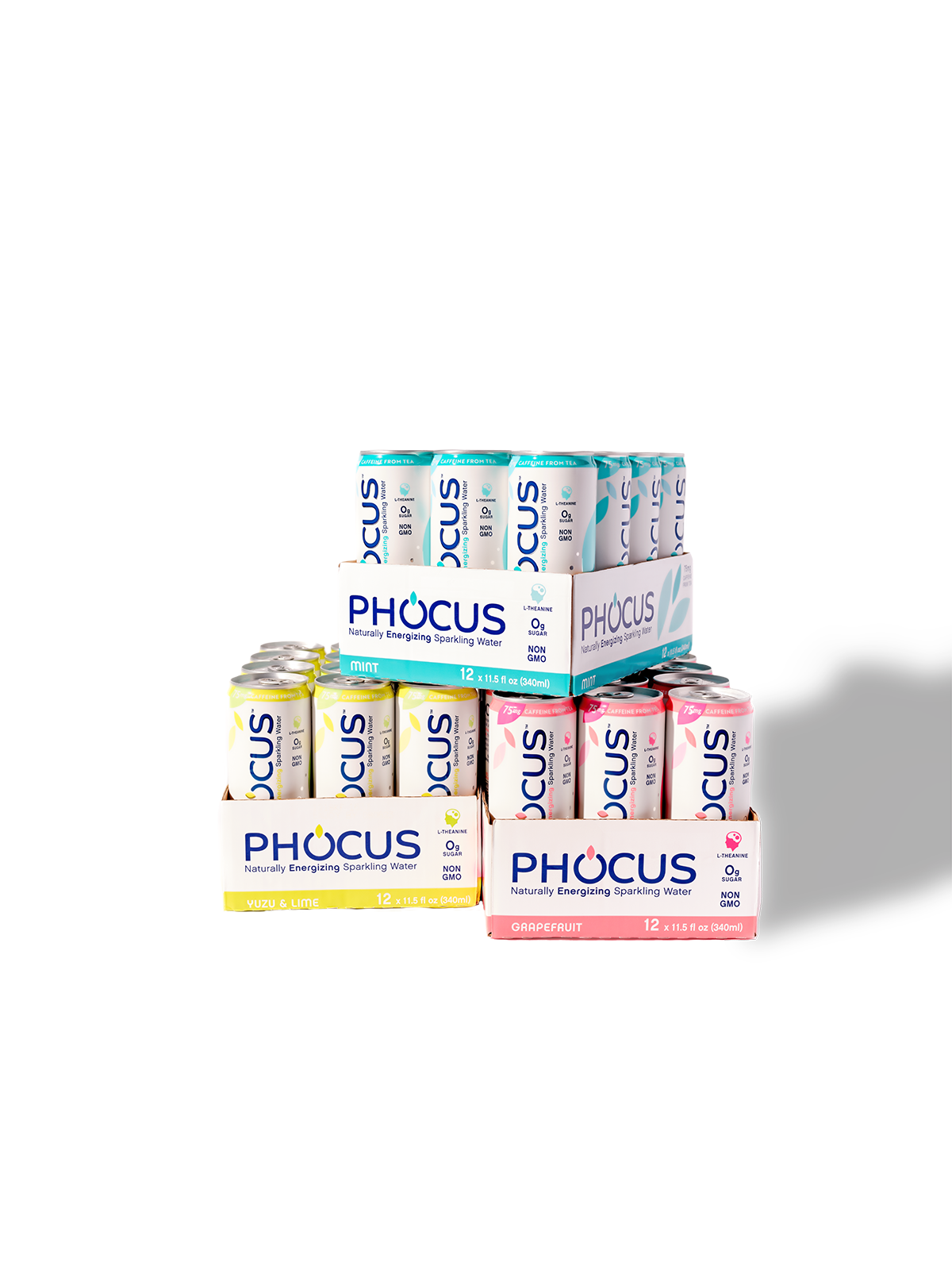 Phocus-1598.png