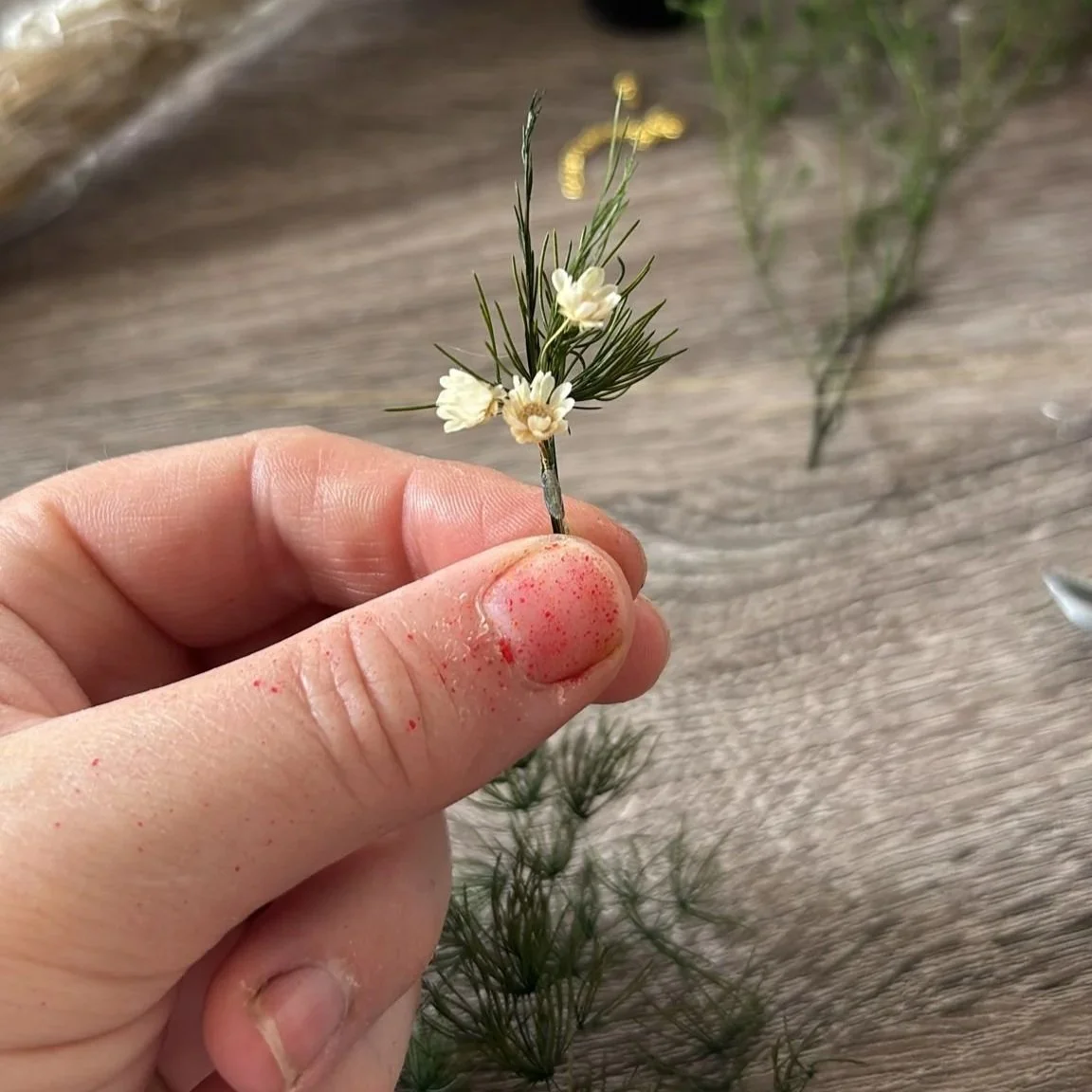 Work in progress photo of a tiny preserved flower bouquet. 