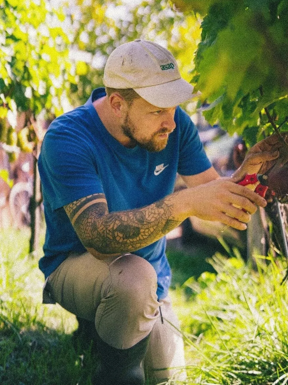 Un homme avec un tatouage sur le bras qui coupe ou récolte des plantes dans un environnement en plein air.