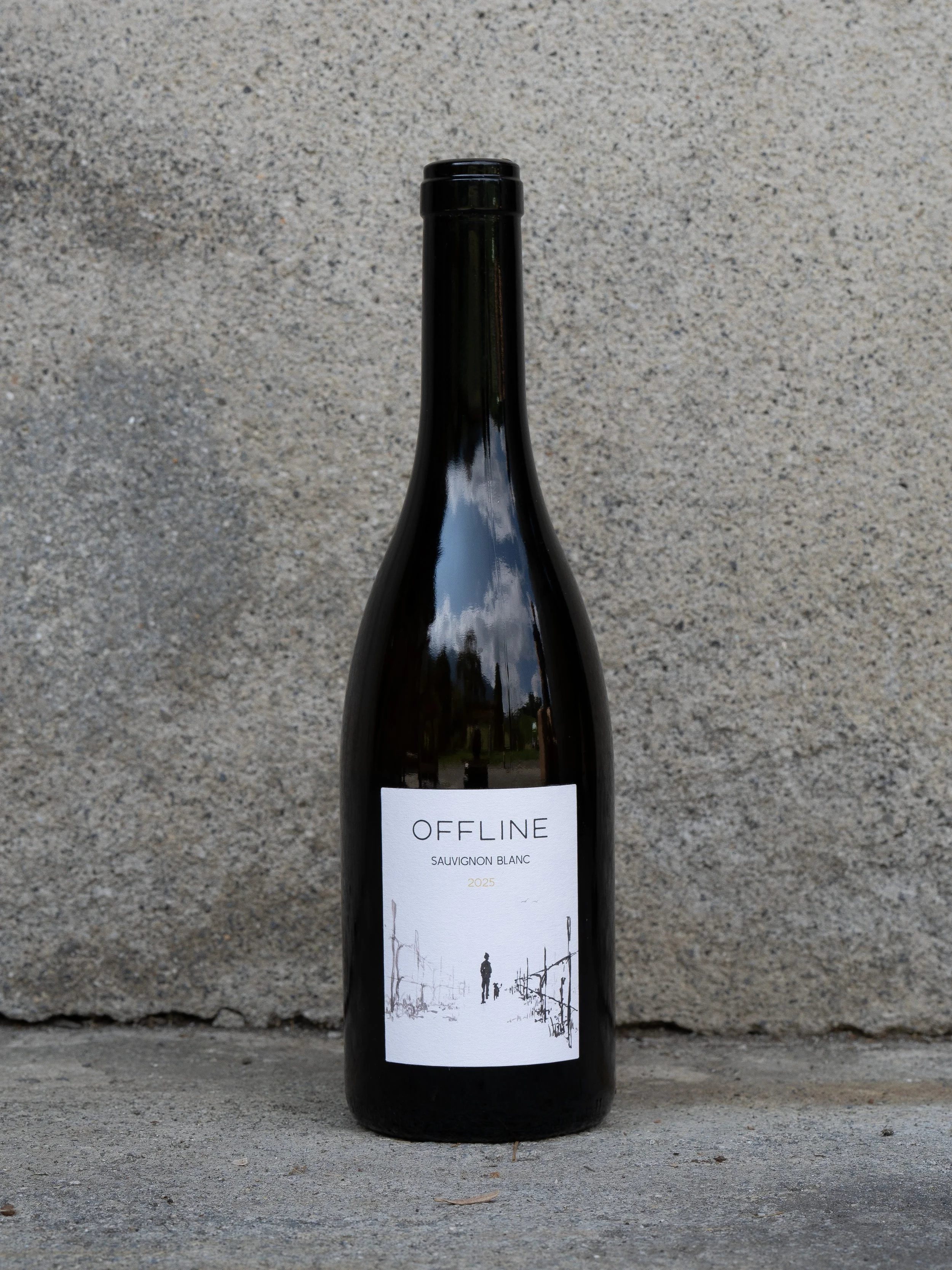 Sauvignon Blanc