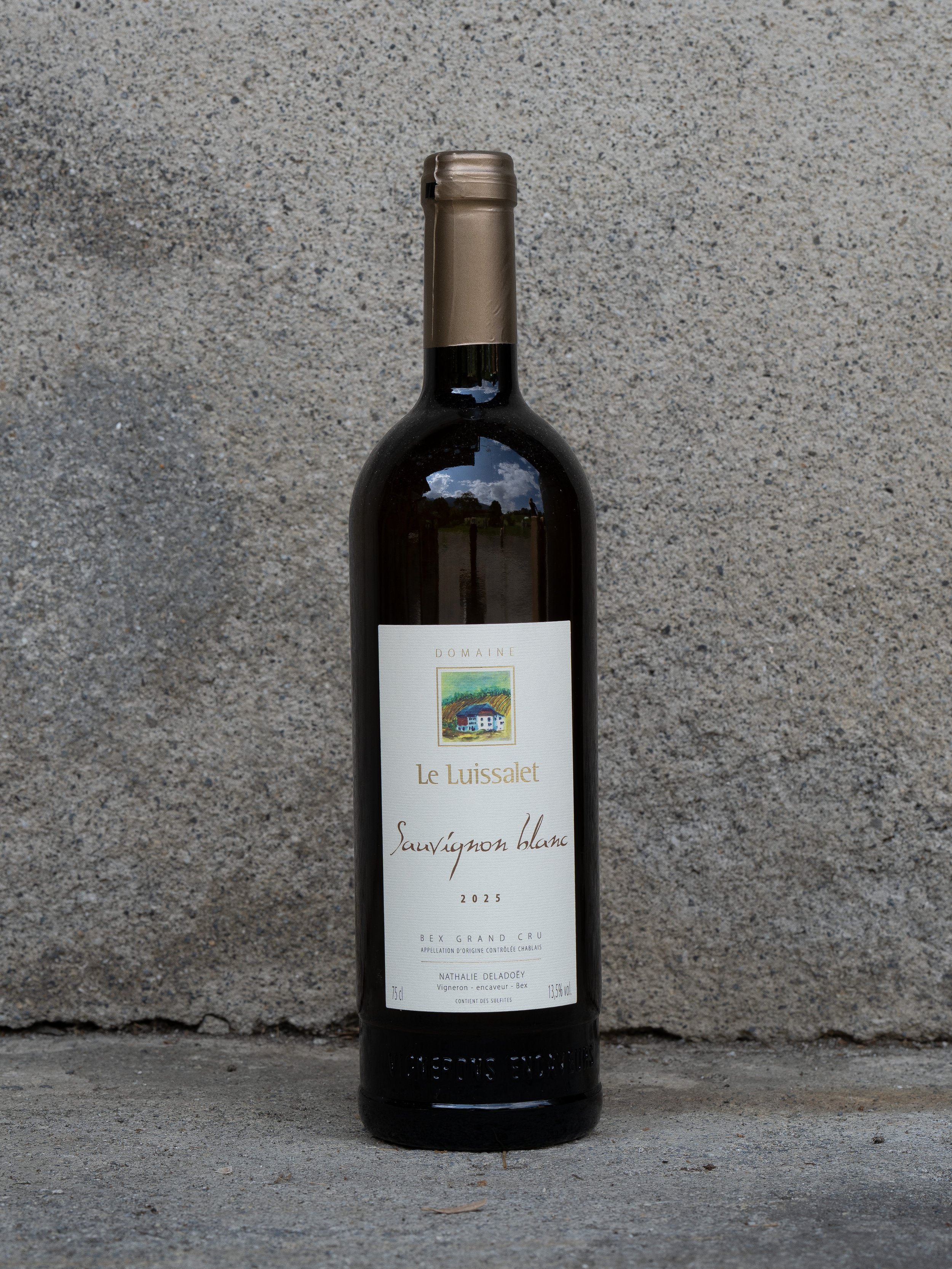 Sauvignon Blanc