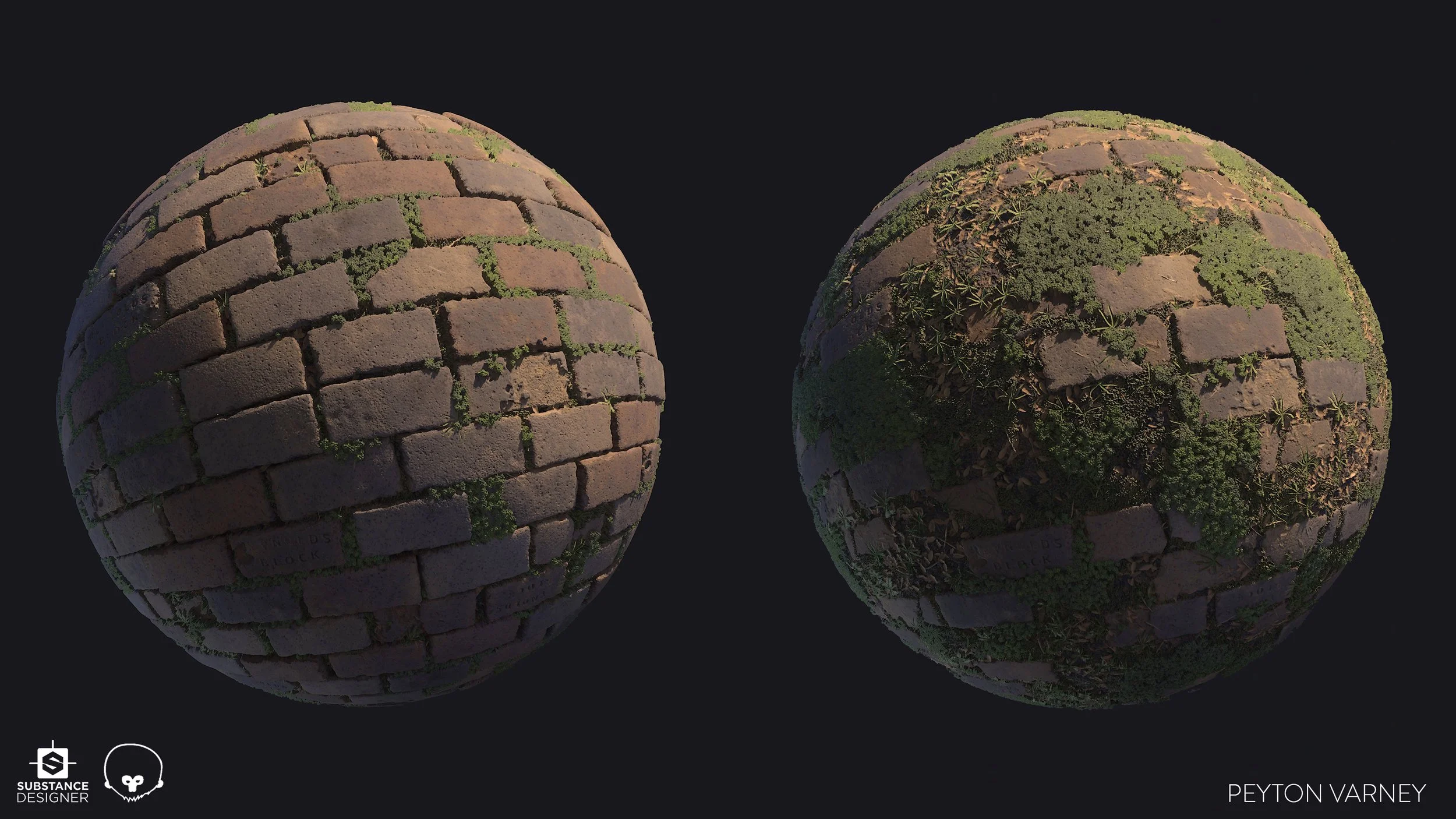 pvarney-BrickStudy-04.jpg