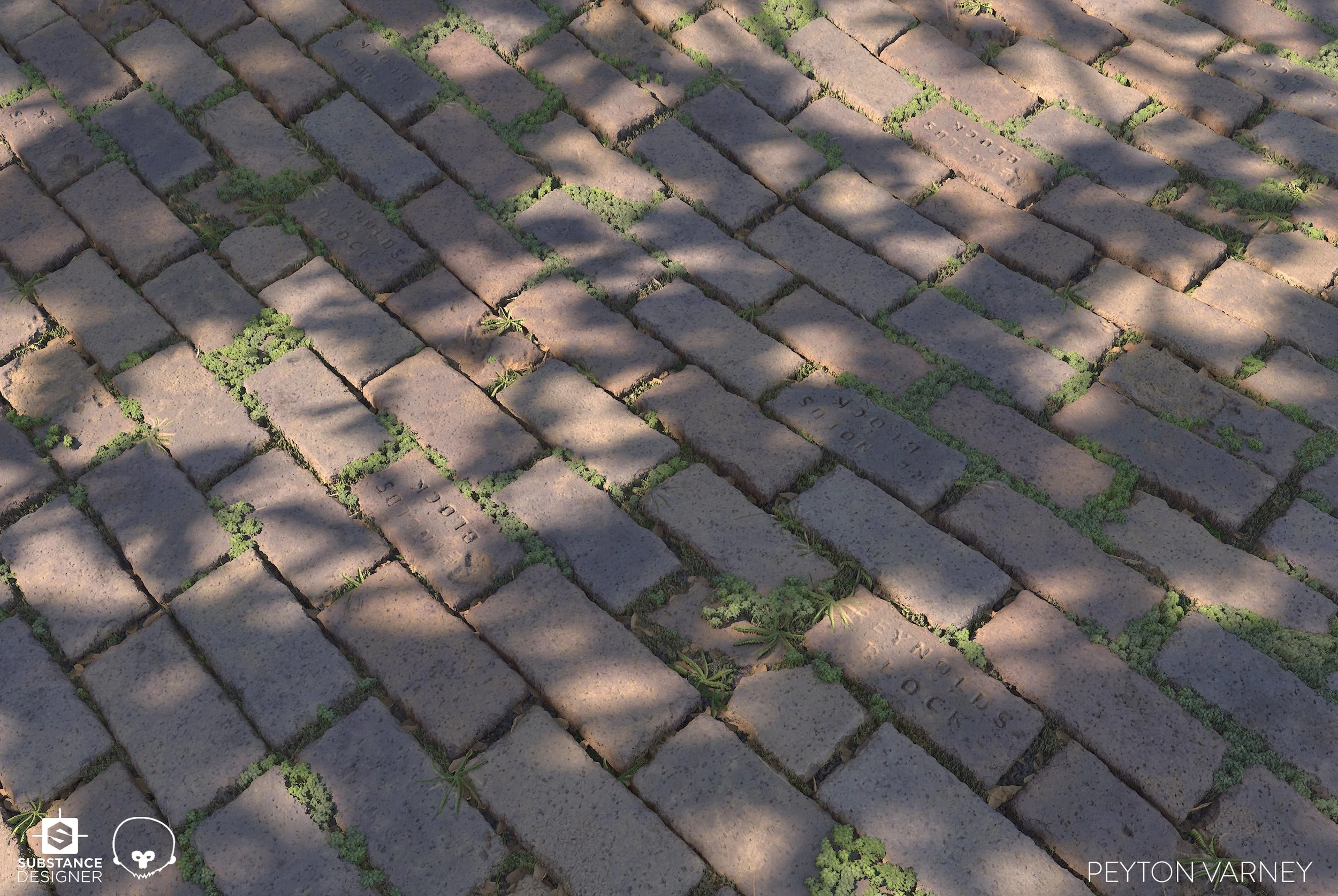 pvarney-BrickStudy-03.jpg