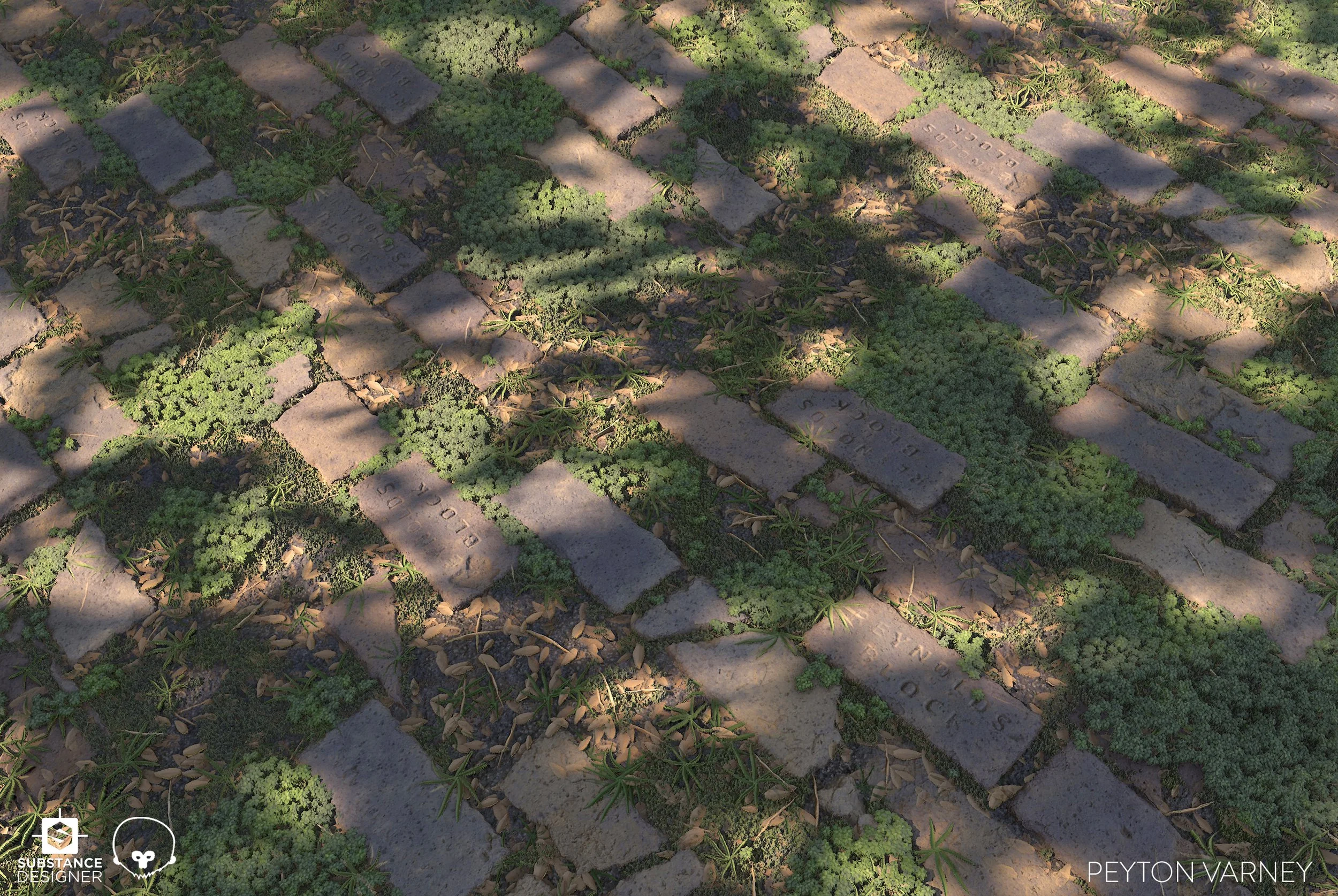 pvarney-BrickStudy-01.jpg