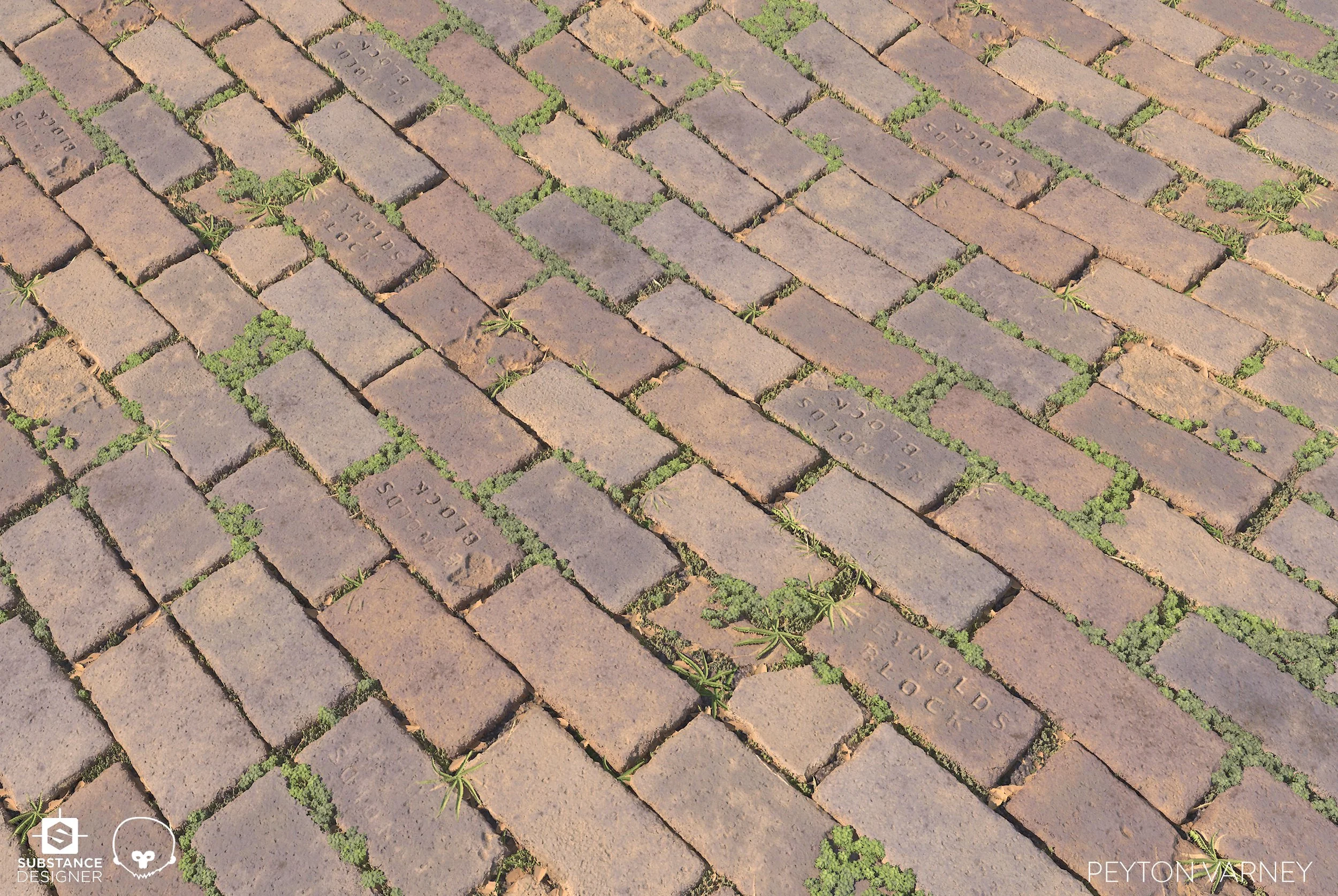 pvarney-BrickStudy-02.jpg