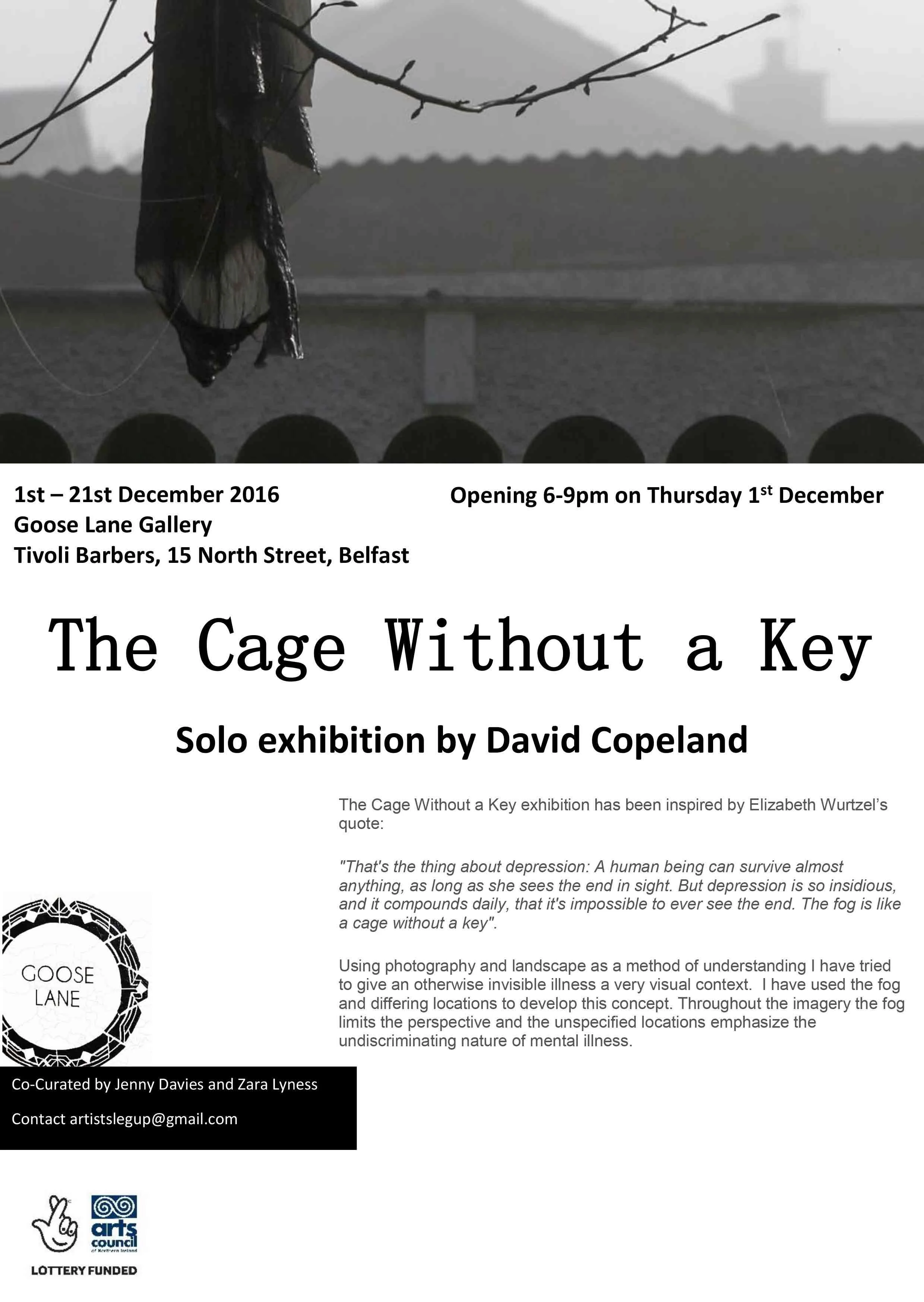 Text describing an art exhibition titled "The Cage Without a Key" by David Copeland at Goose Lane Gallery, Belfast, from December 1-21, 2016, with opening hours on December 1st. The flyer mentions the exhibition is inspired by Elizabeth Wurtzel’s quote about depression and discusses using photography to convey mental illness. There are logos of Goose Lane, Arts Council, and other sponsors at the bottom.