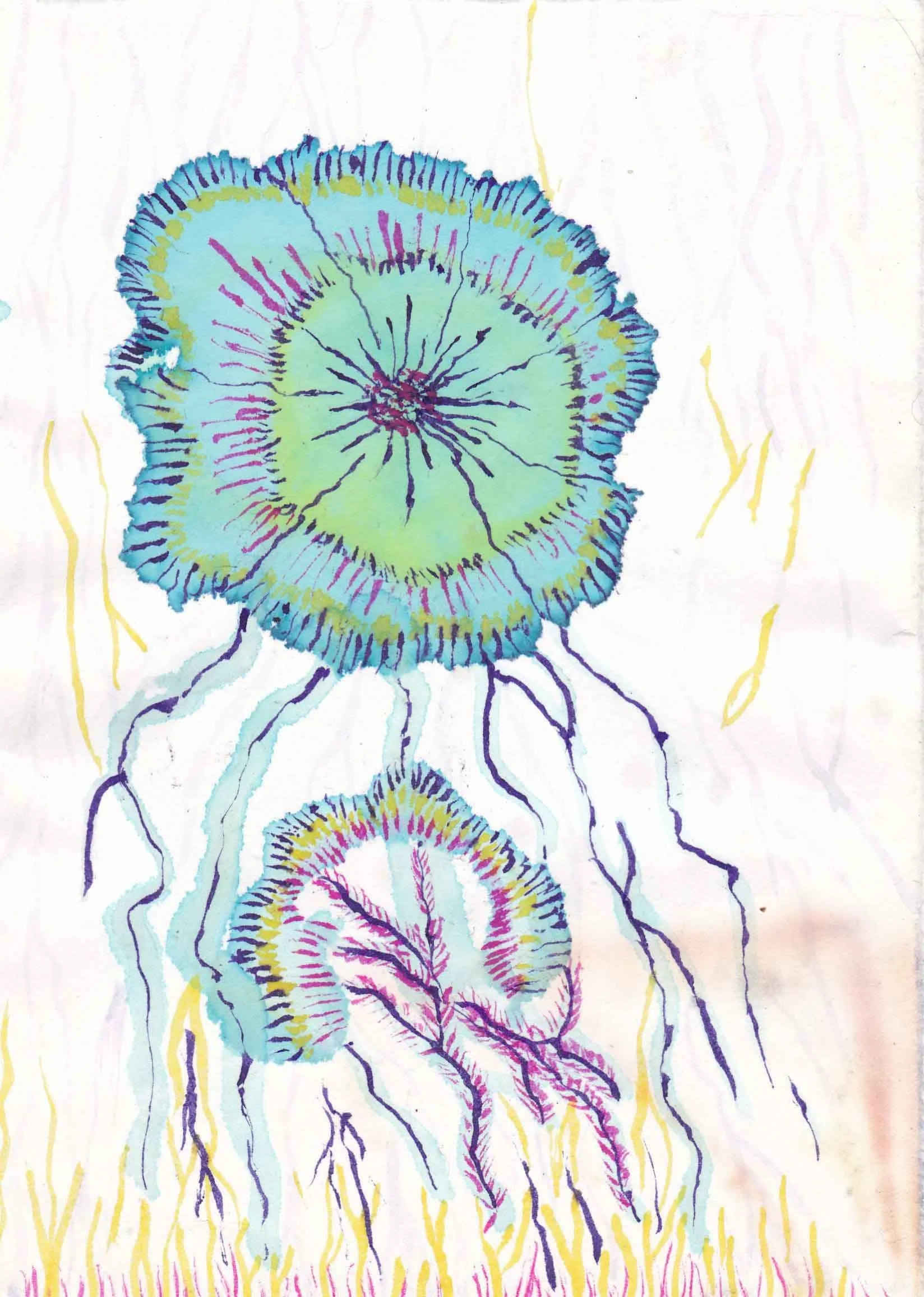 Colorful abstract art depicting a series of overlapping jellyfish-like shapes in shades of blue, purple, yellow, and pink on a white background with yellow and purple lines resembling tentacles.