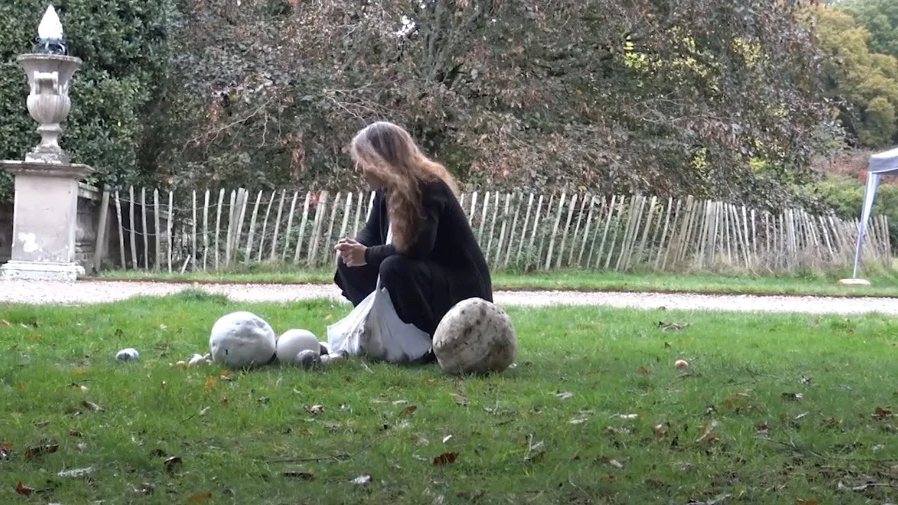 A woman with long hair sitting on the grass in a park, surrounded by large spherical ceramics, with trees and a wooden fence in the background.