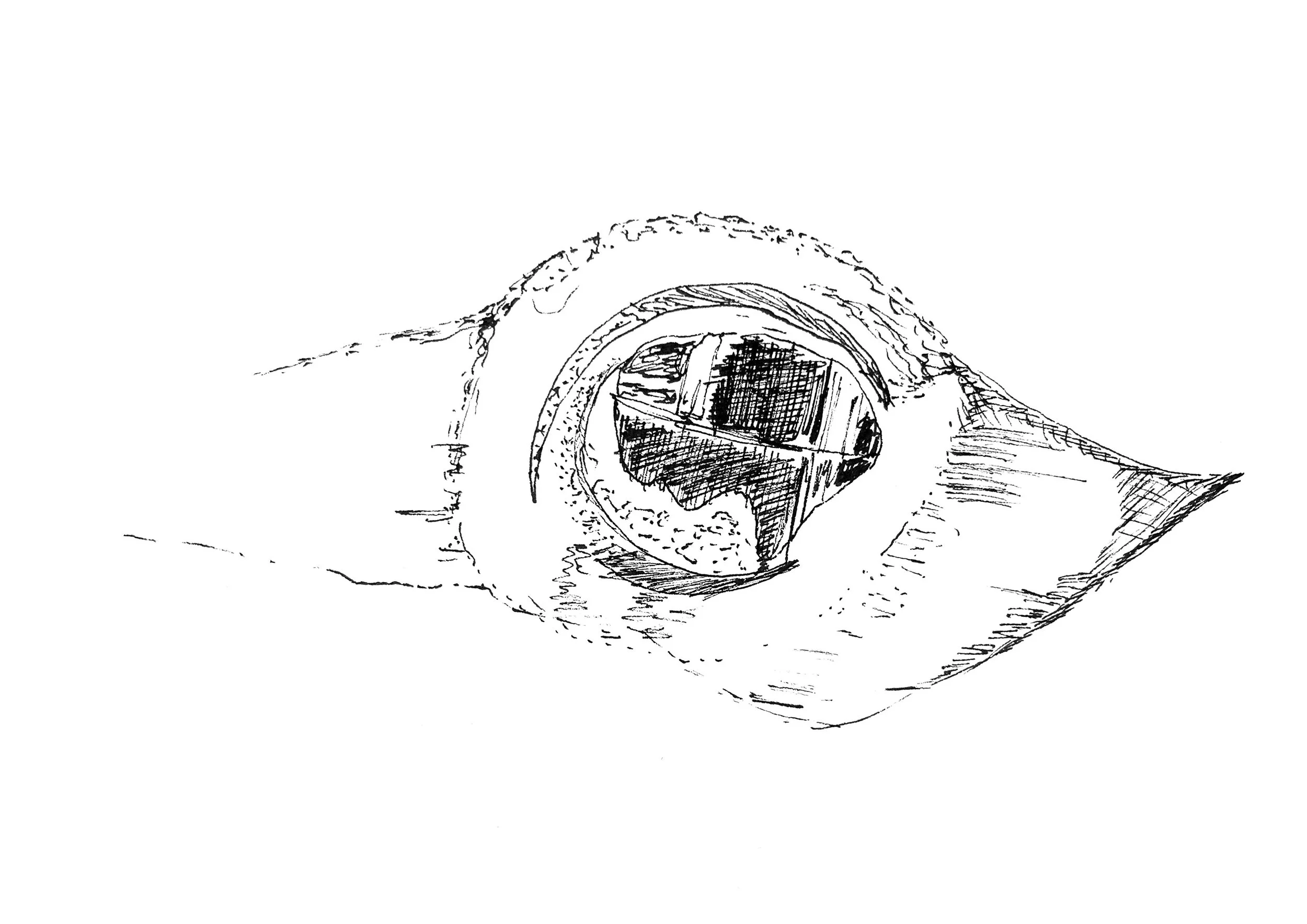 A black and white sketch of knot of wood.