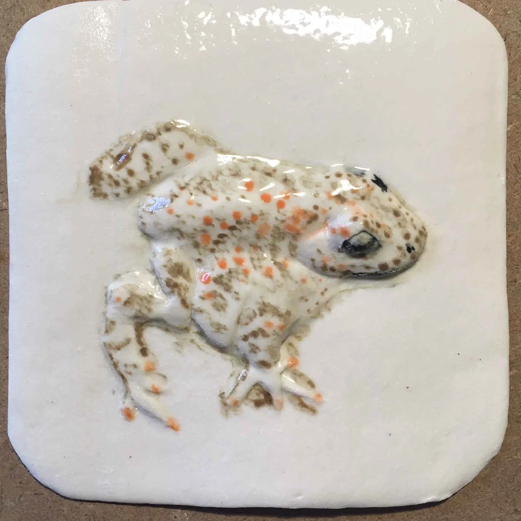 Close-up of a natterjack toadwith pale, speckled shell on a white circular surface.