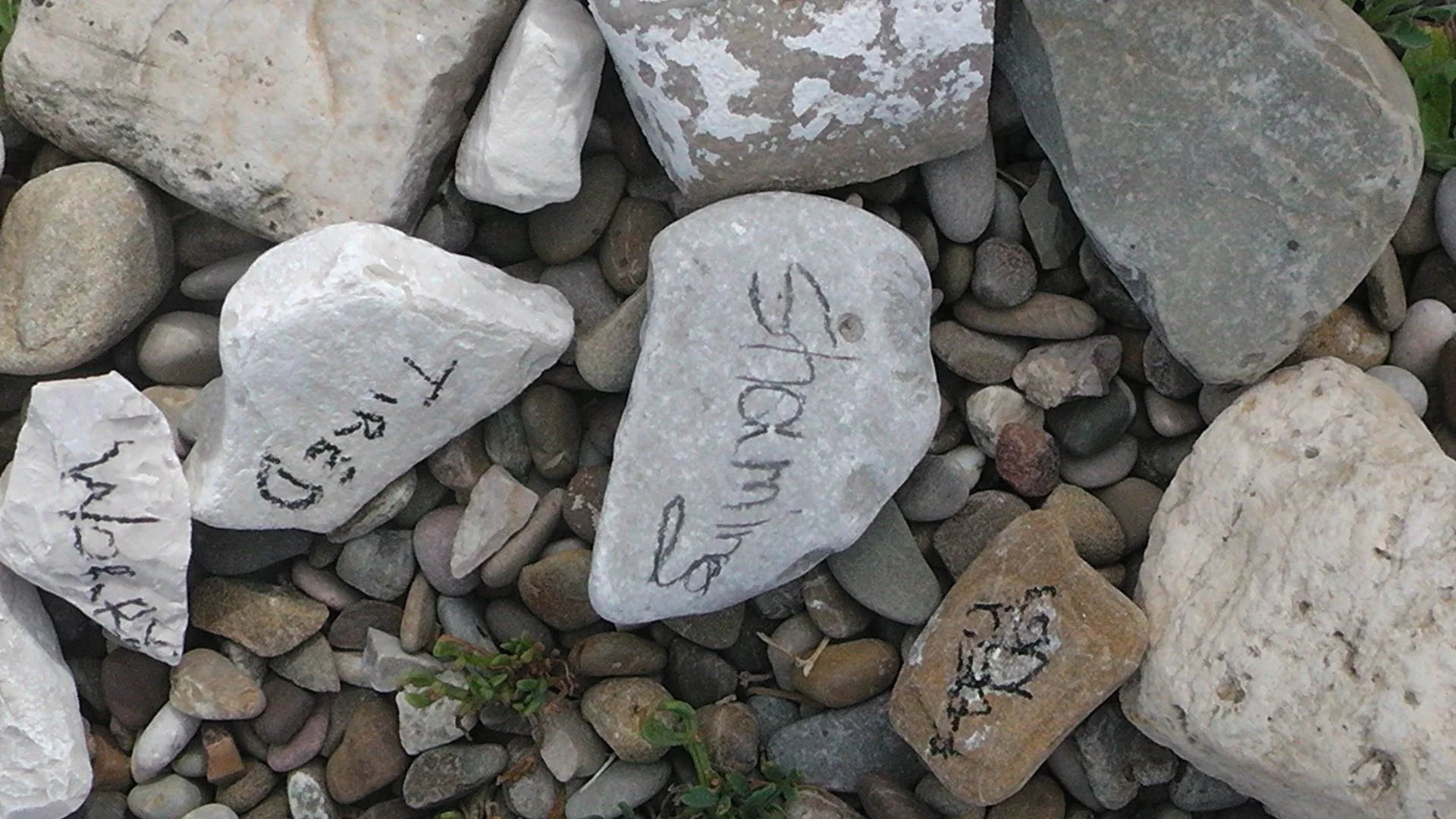 Various rocks and stones of different sizes, with some rocks containing handwritten markings or numbers.