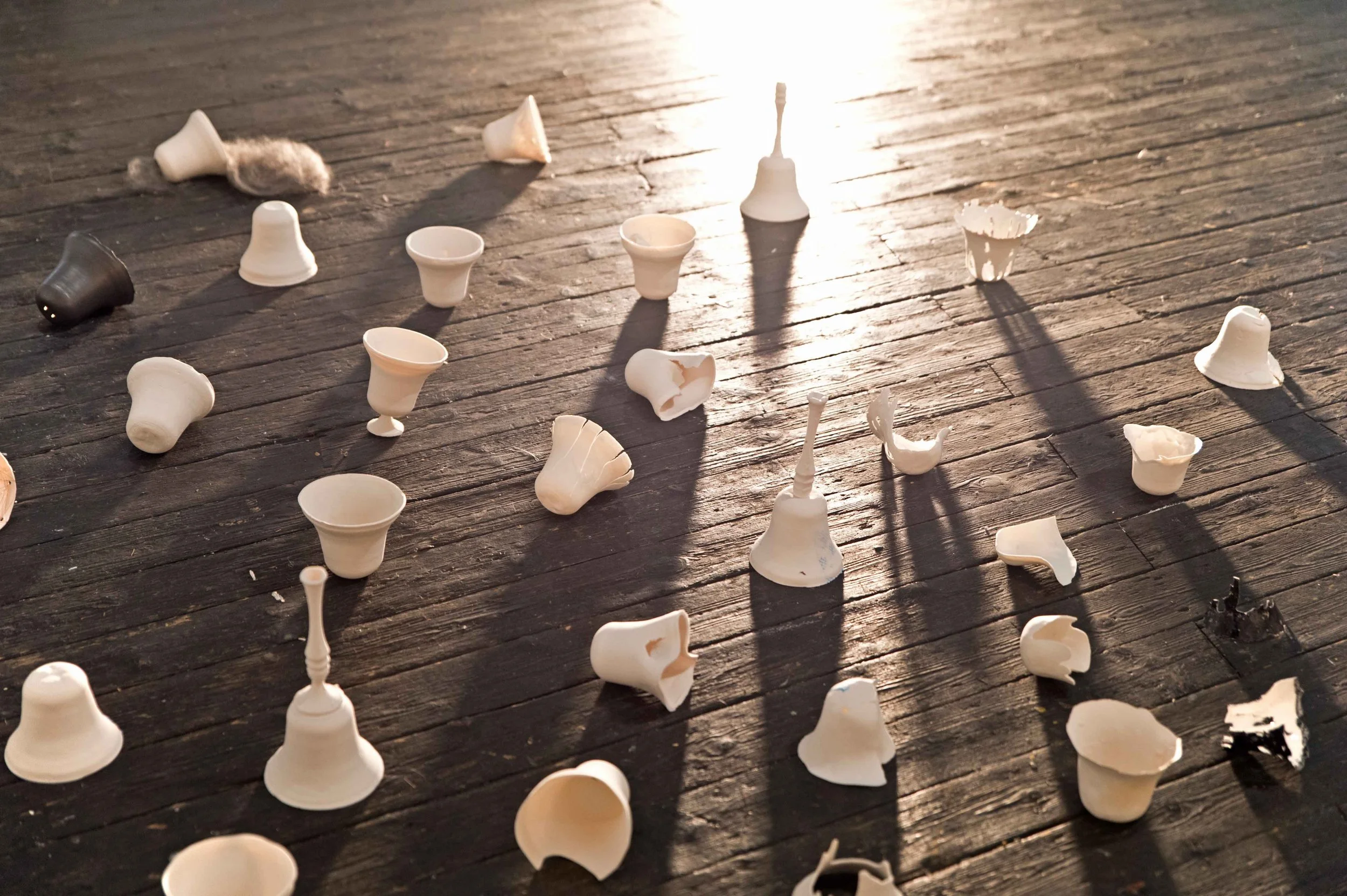 Broken white ceramic cups and shavings scattered on a wooden surface, with sunlight shining on them.