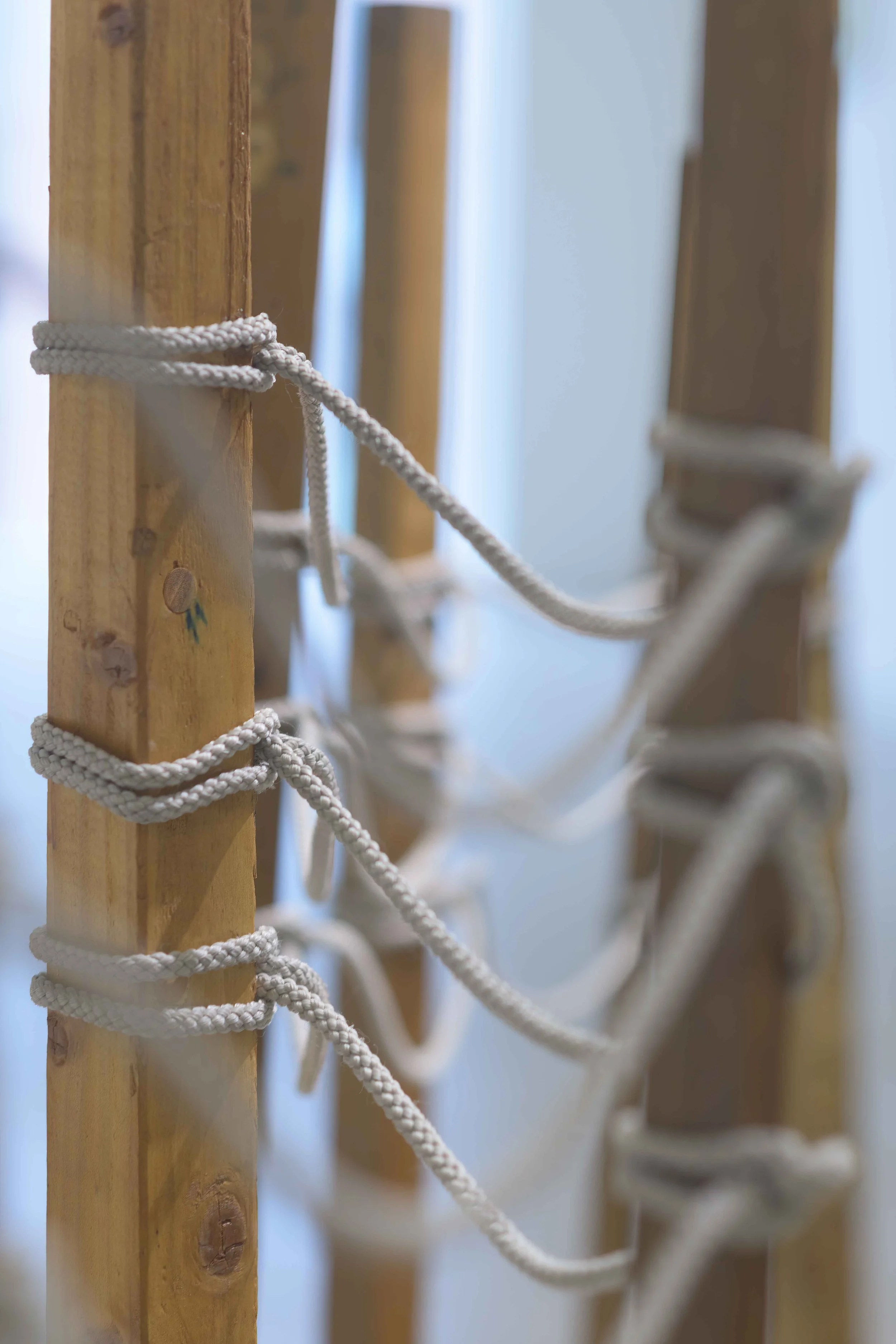 Close-up of wooden dowels with white rope tied around them, forming part of a structure or net.