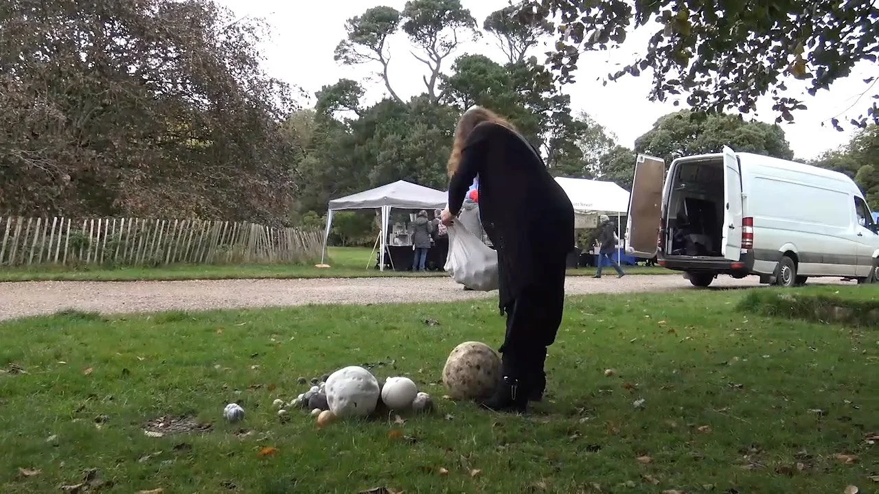 A woman at an outdoor event setting up or arranging spherical objects on the grass, with tents, a white van, and trees in the background.