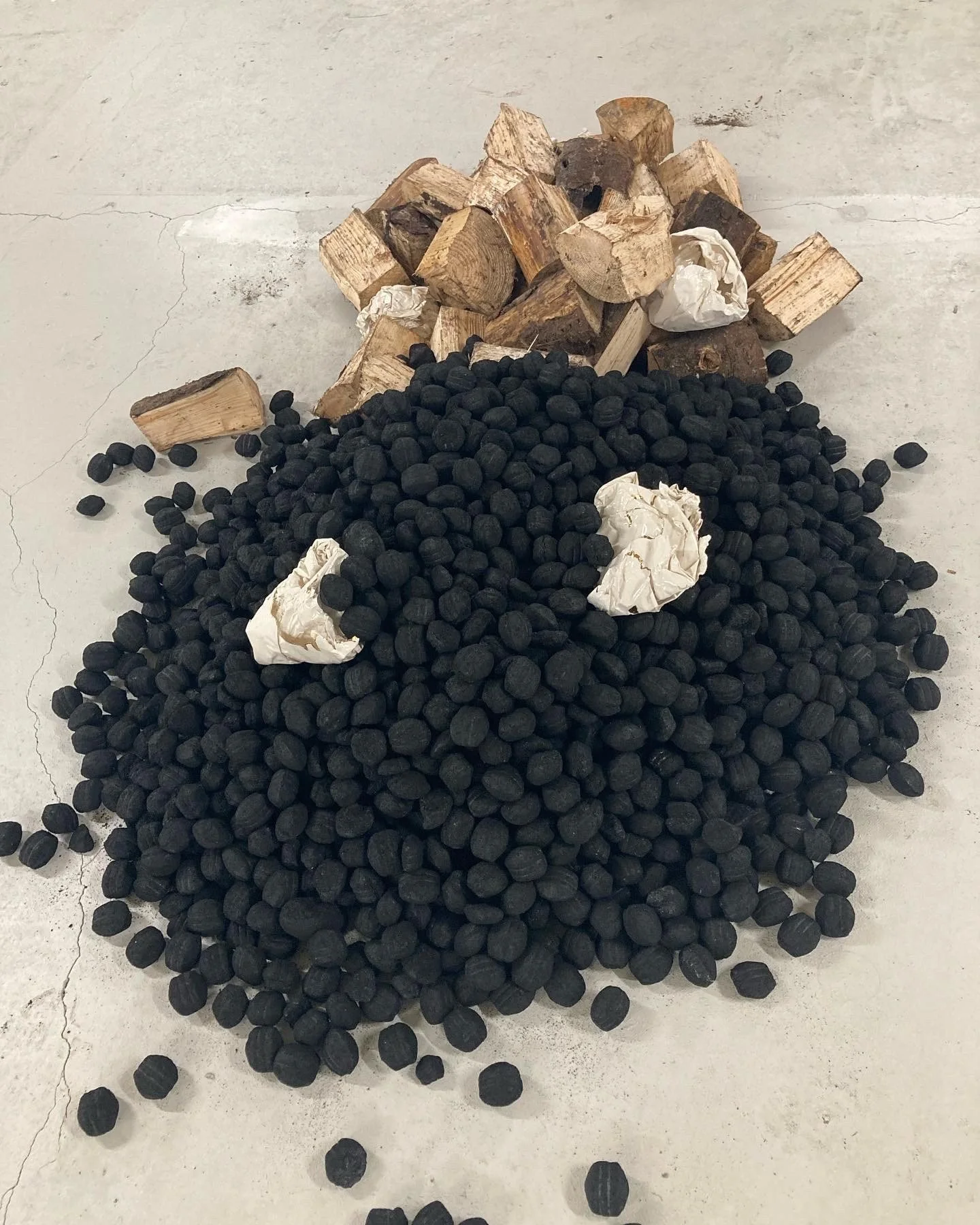 Pile of coal, with some crumpled paper  shapes made from ceramics and a pile of wood logs behind on a concrete floor.