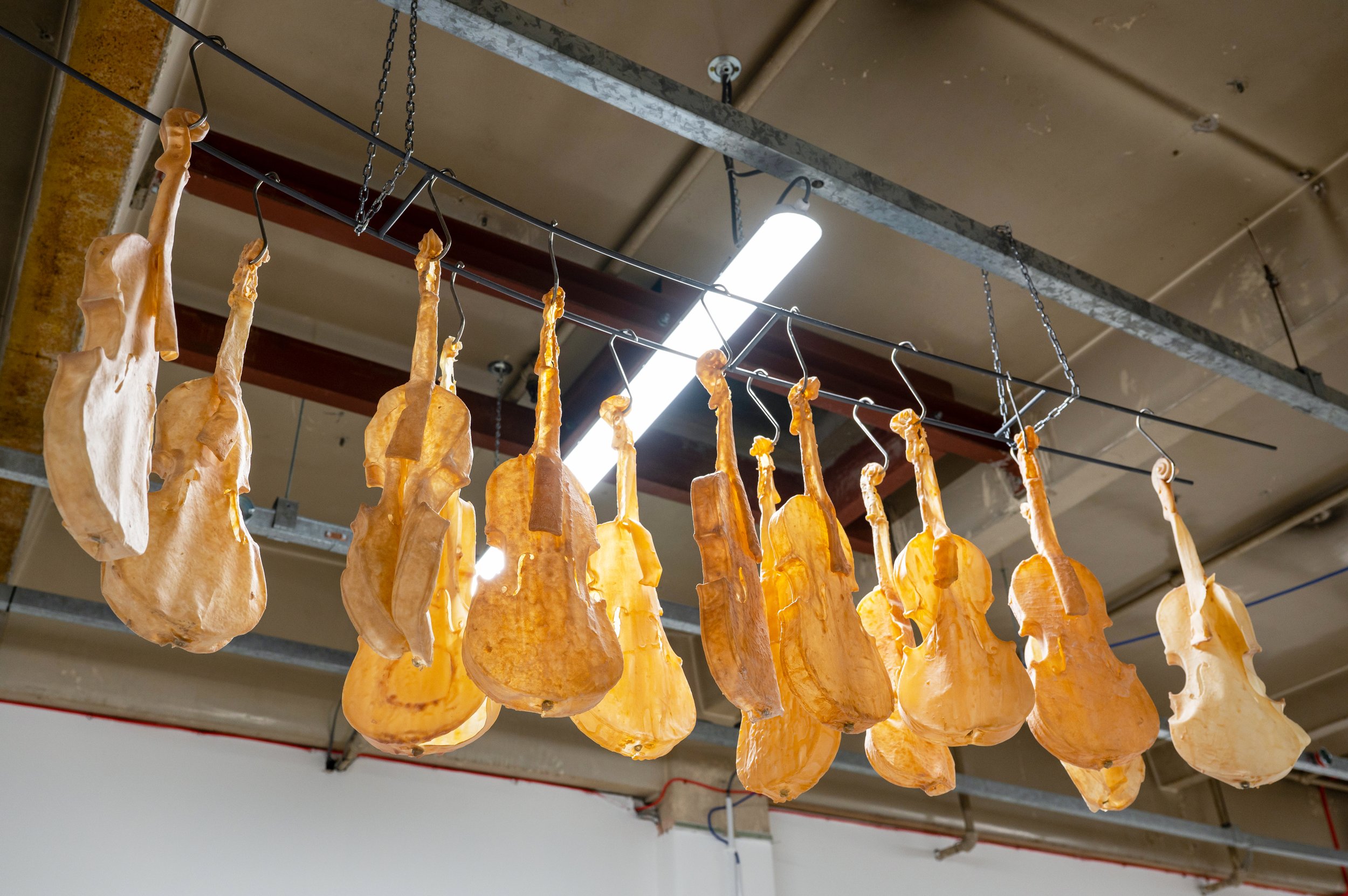 Latex violin skins hanging in a row on hooks in a commercial drying or curing facility, all suspended from a horizontal metal rod.
